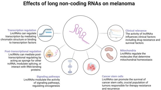Cancers 17 04033 g002