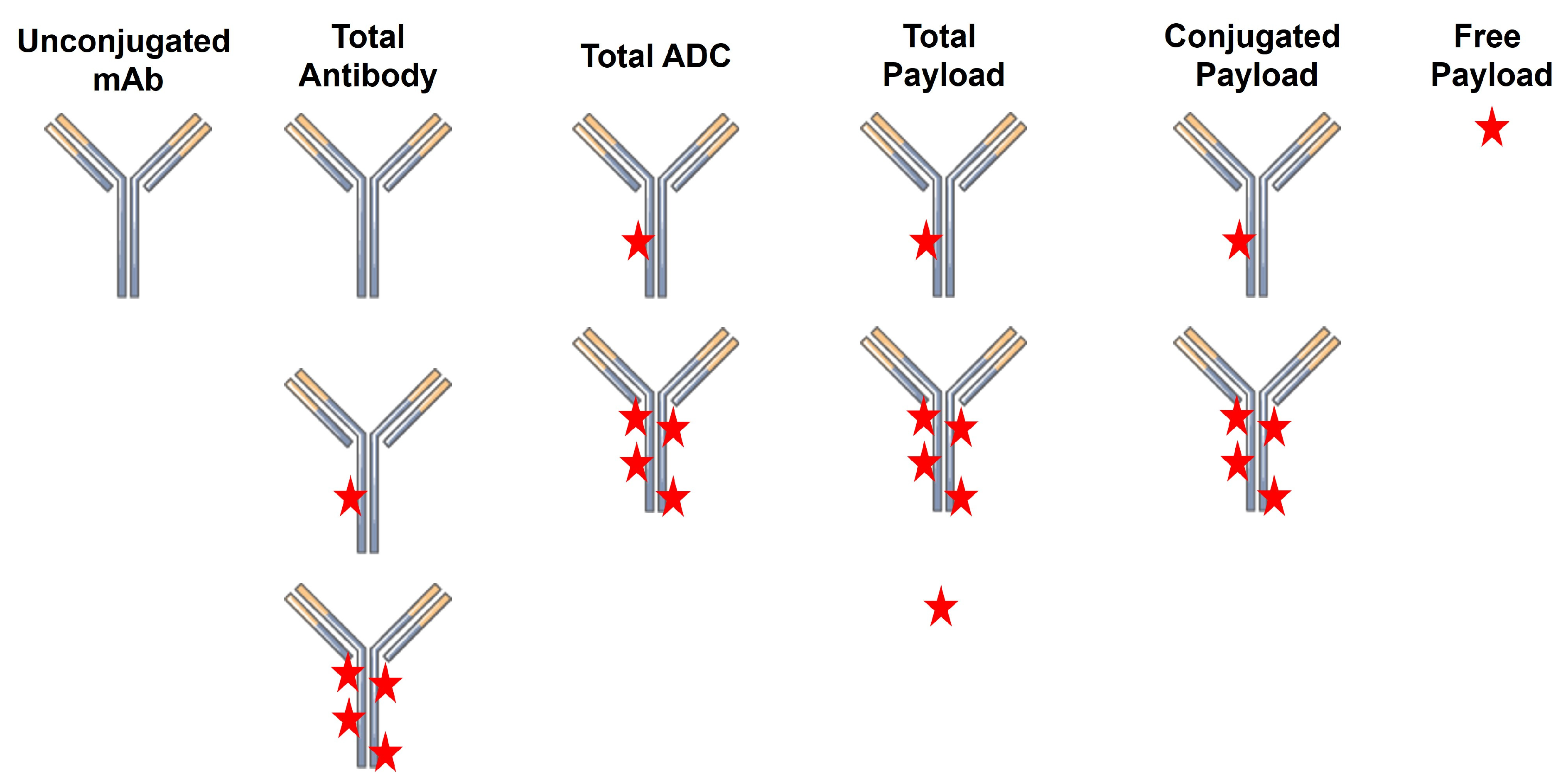 Cancers 18 00005 g001