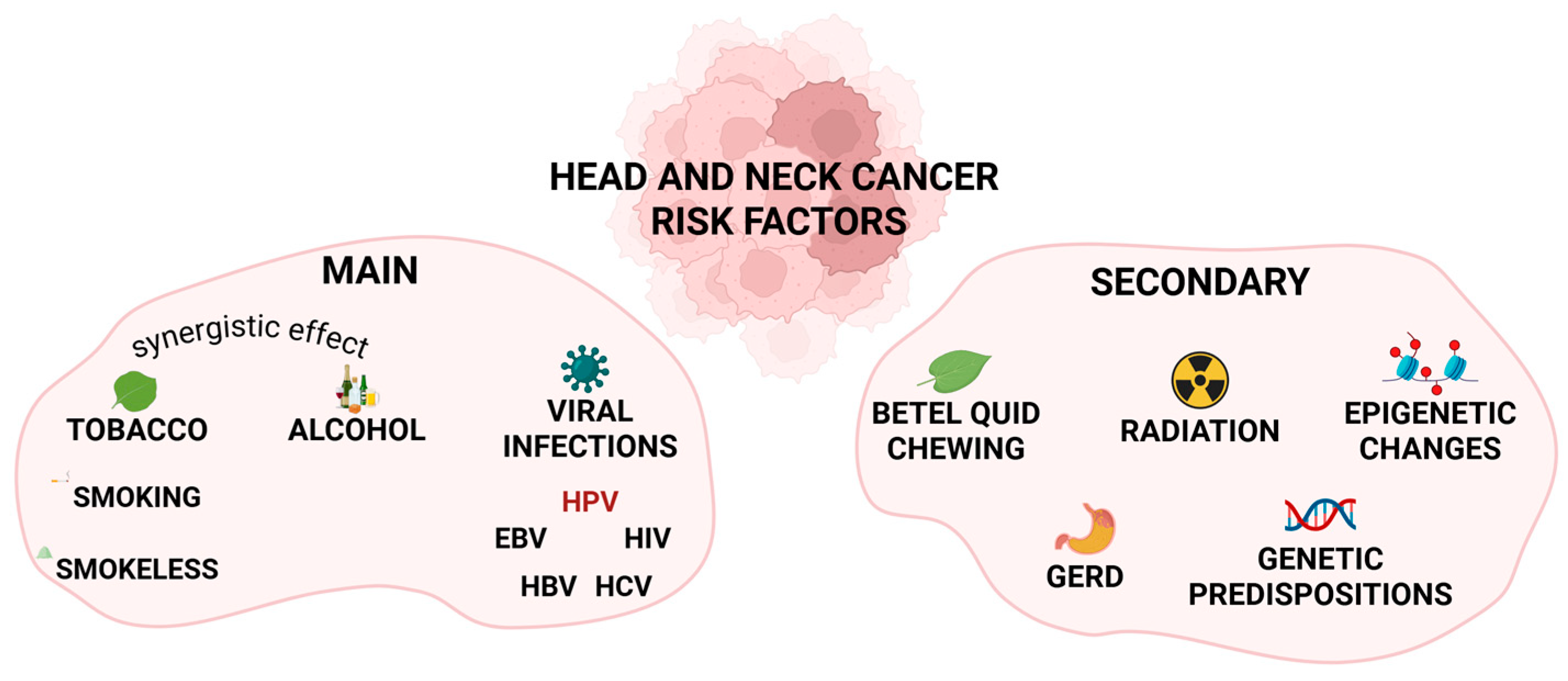 Cancers 18 00087 g001 Cancers 18 00087 g001