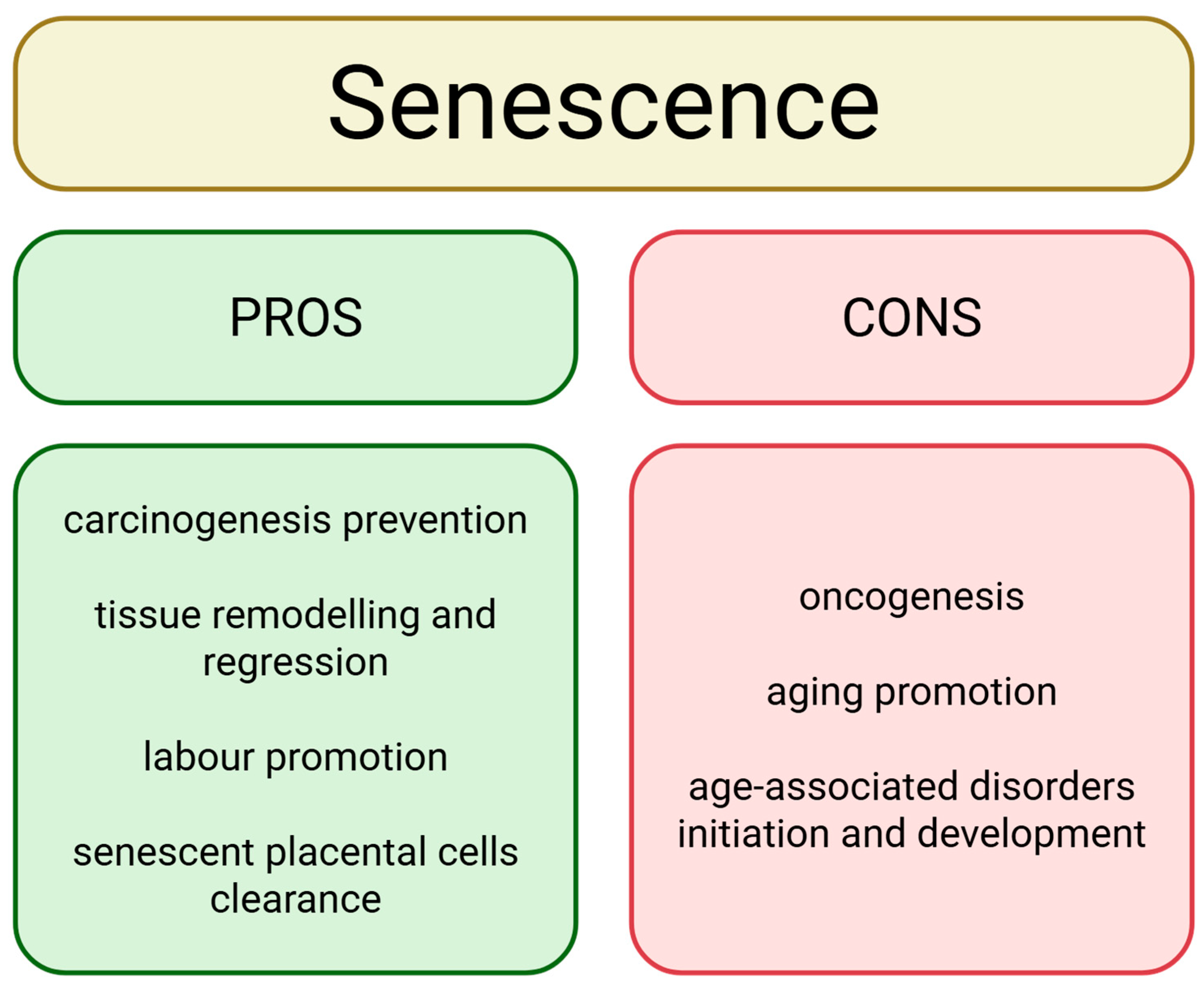 Cancers 18 00087 g002 Cancers 18 00087 g002