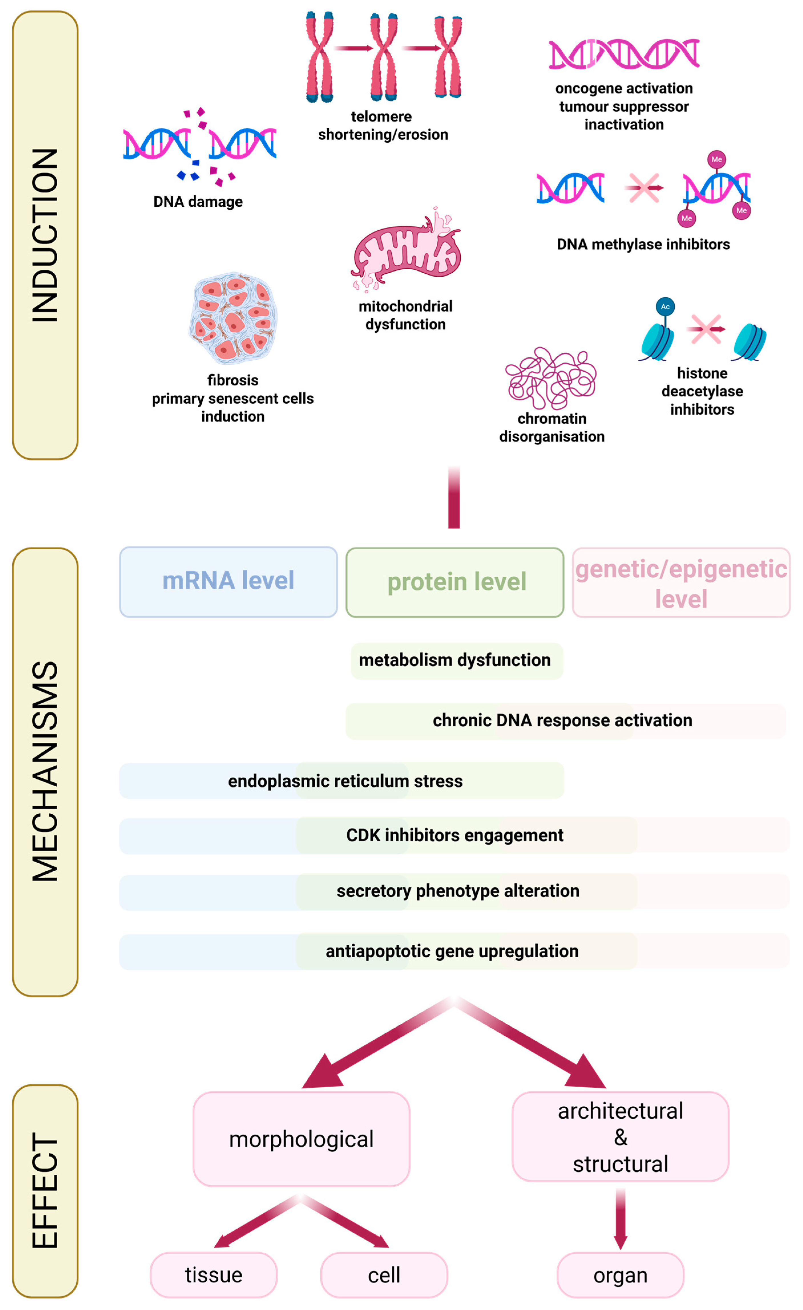 Cancers 18 00087 g003 Cancers 18 00087 g003