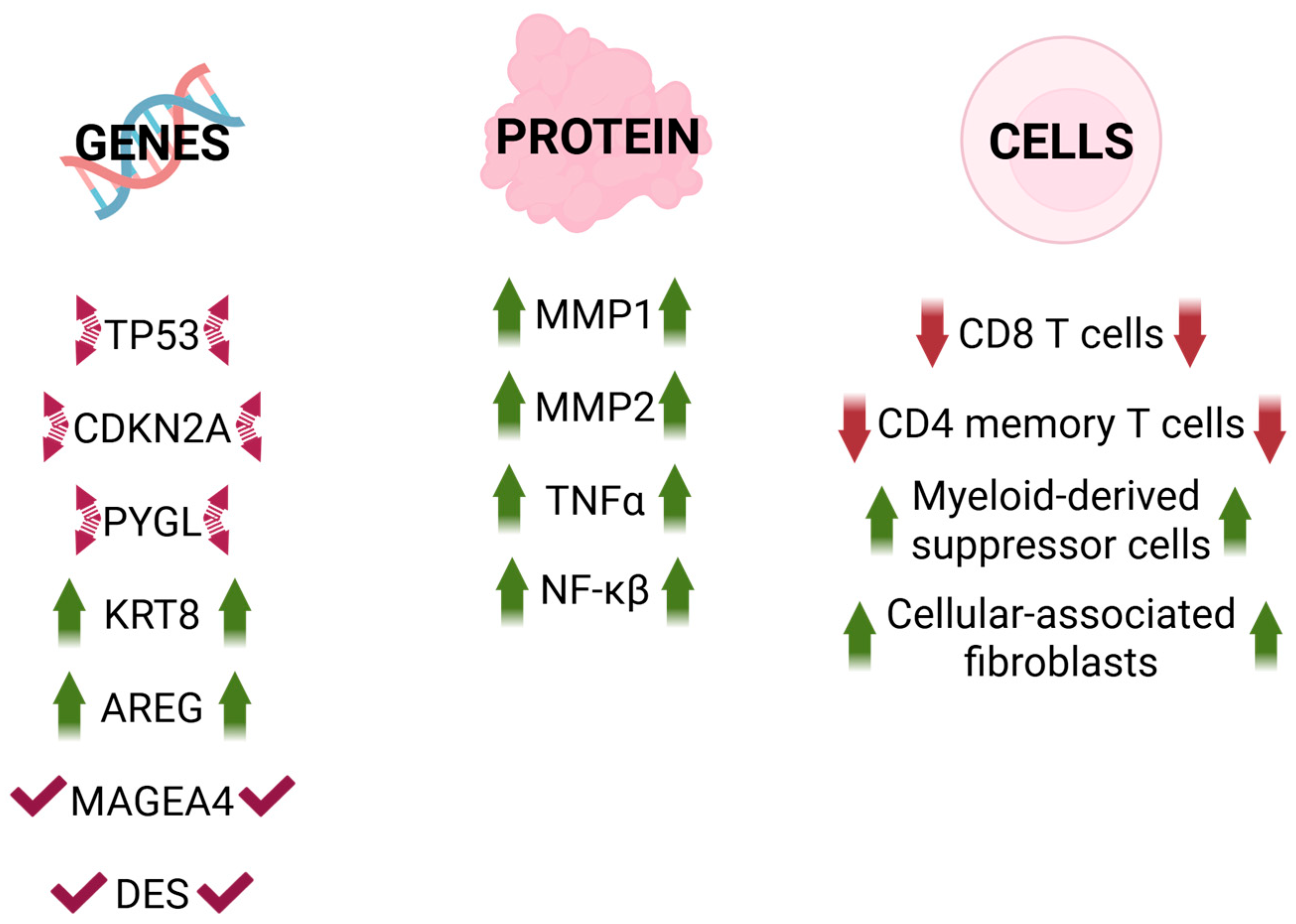 Cancers 18 00087 g004 Cancers 18 00087 g004