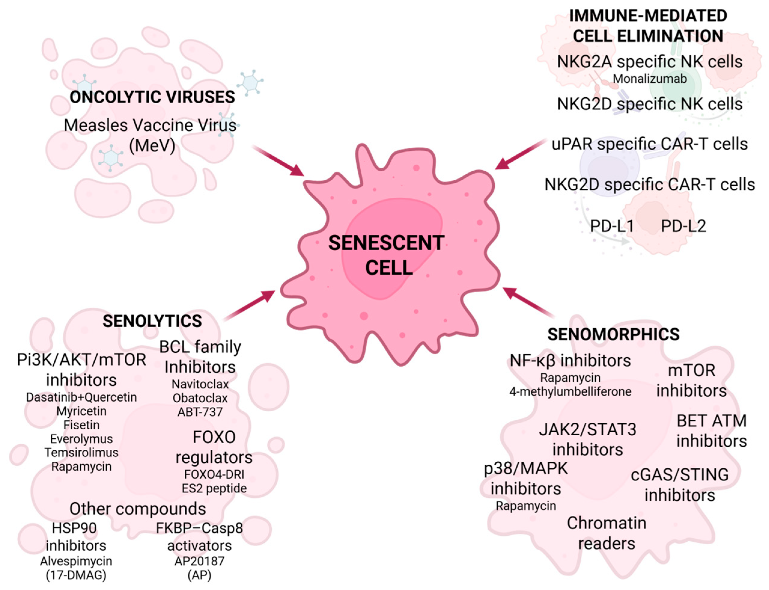 Cancers 18 00087 g005 Cancers 18 00087 g005