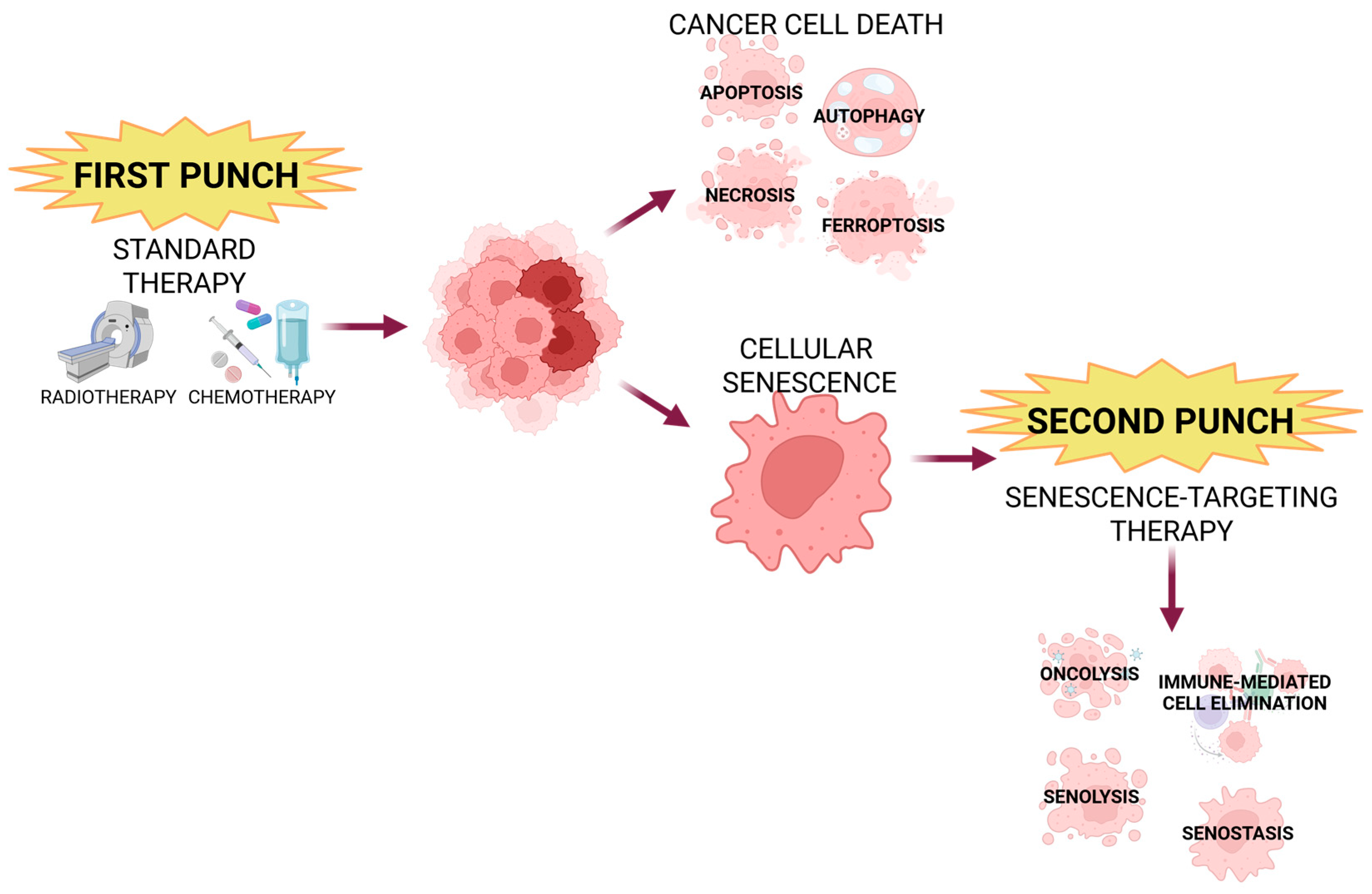 Cancers 18 00087 g006 Cancers 18 00087 g006
