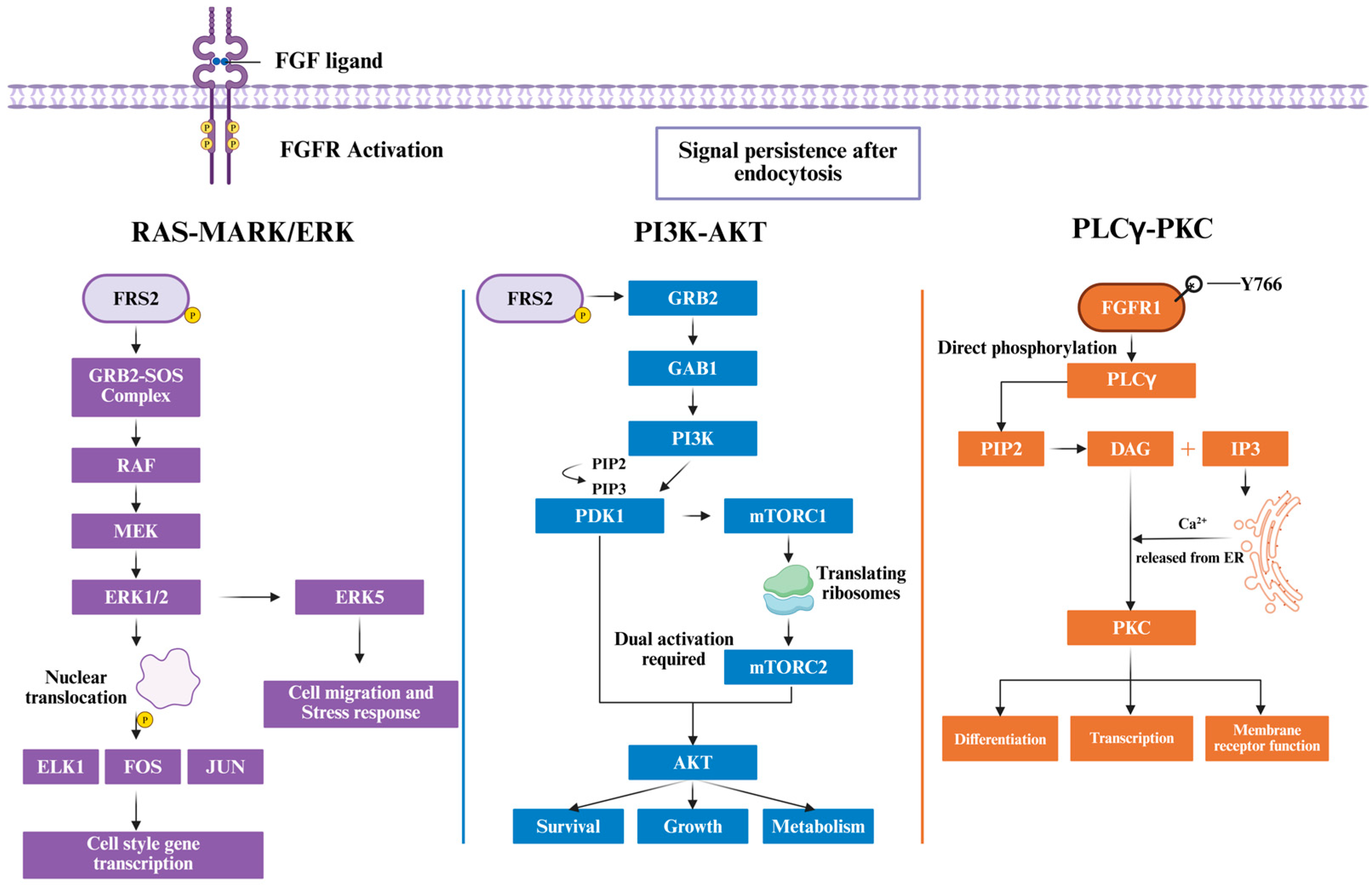 Cancers 18 00089 g001