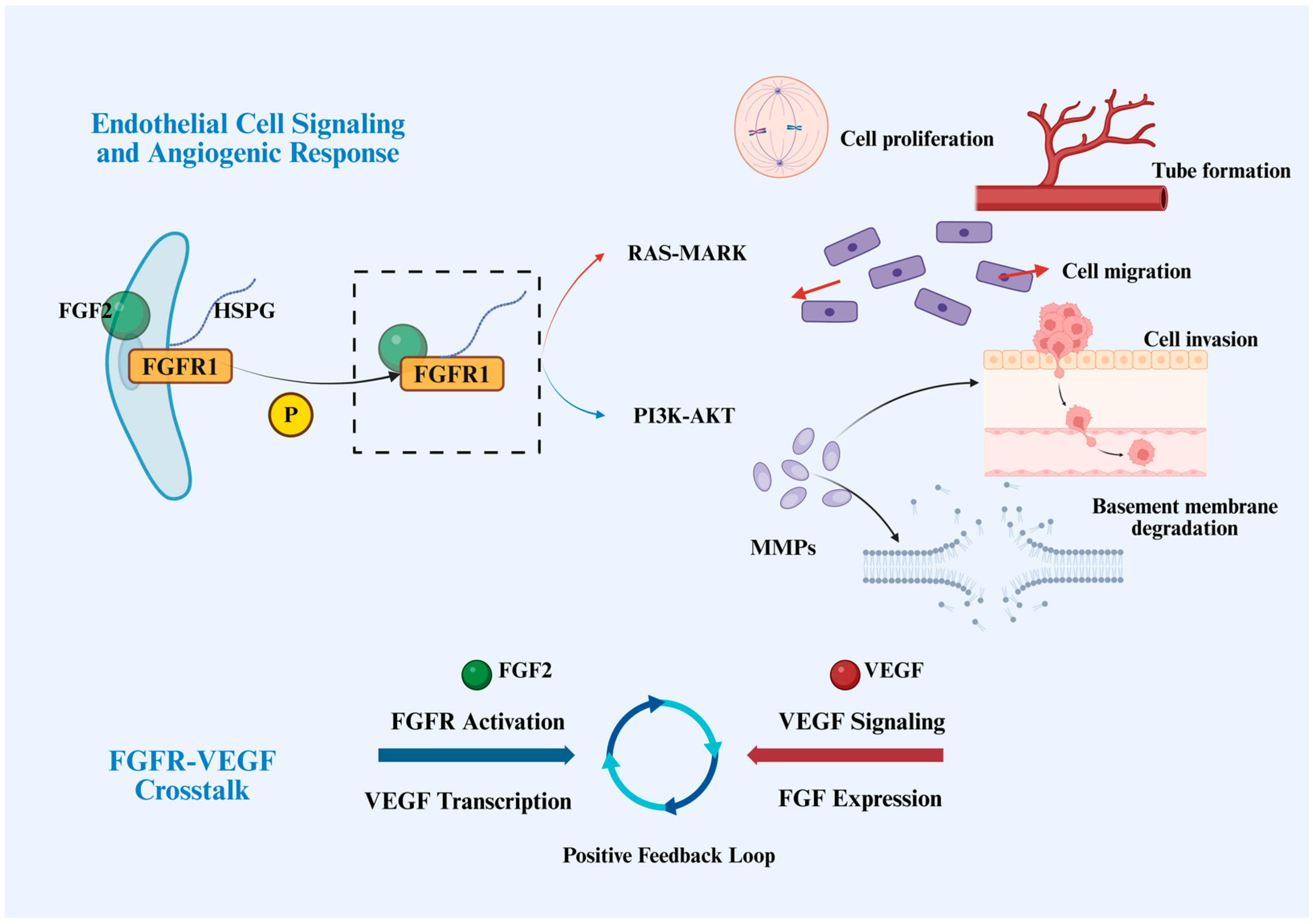 Cancers 18 00089 g002