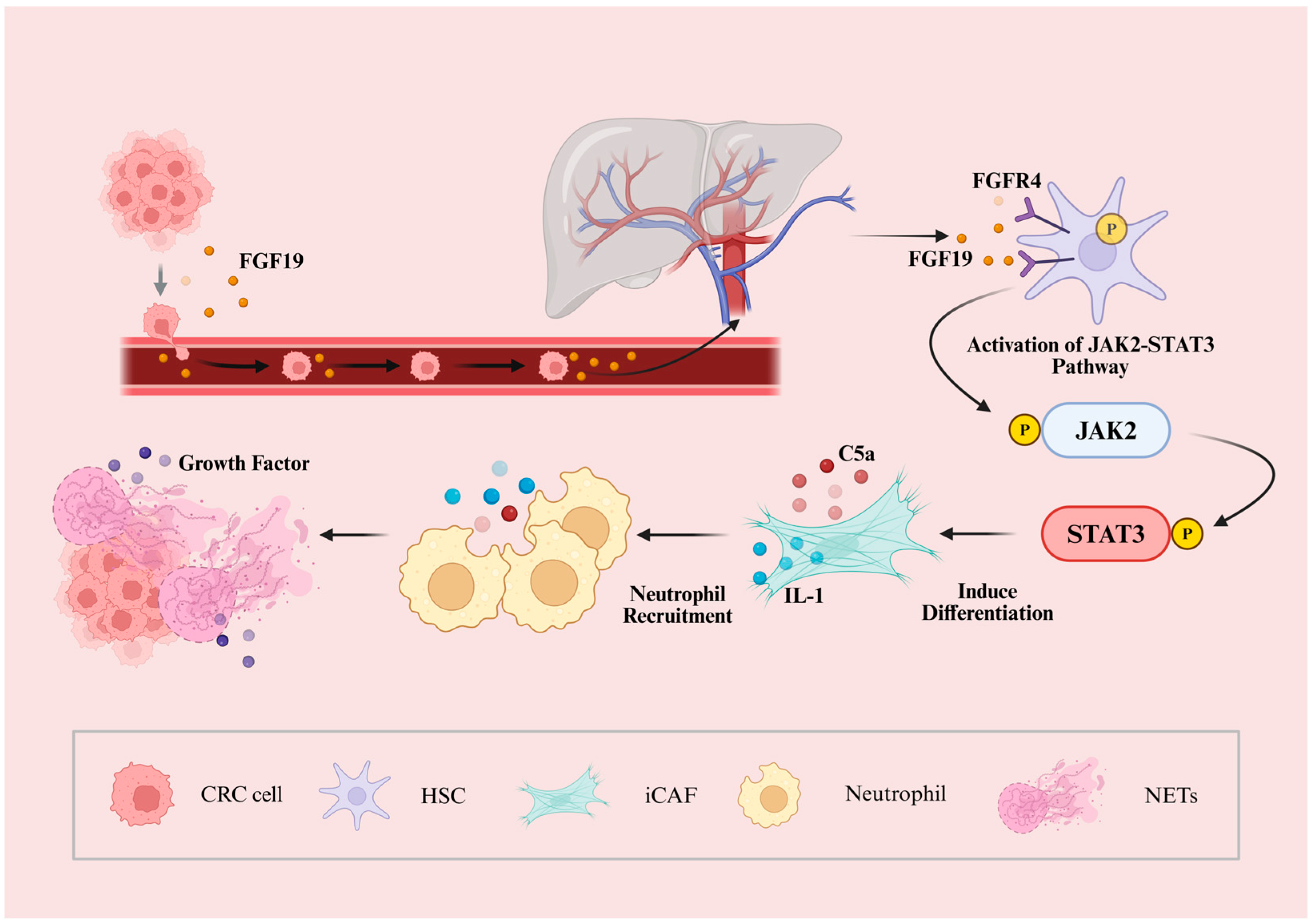 Cancers 18 00089 g003