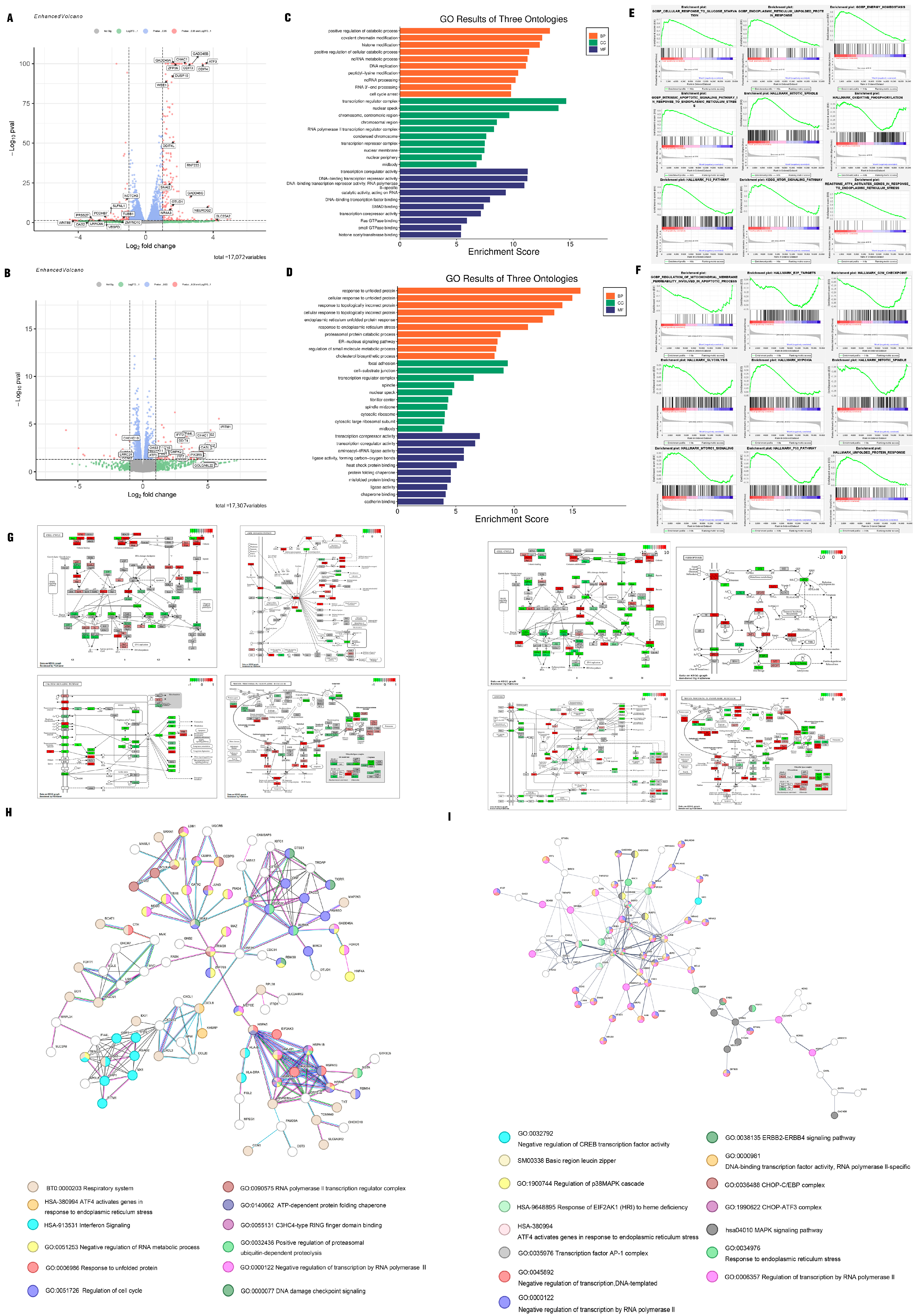 Cancers 18 00092 g002