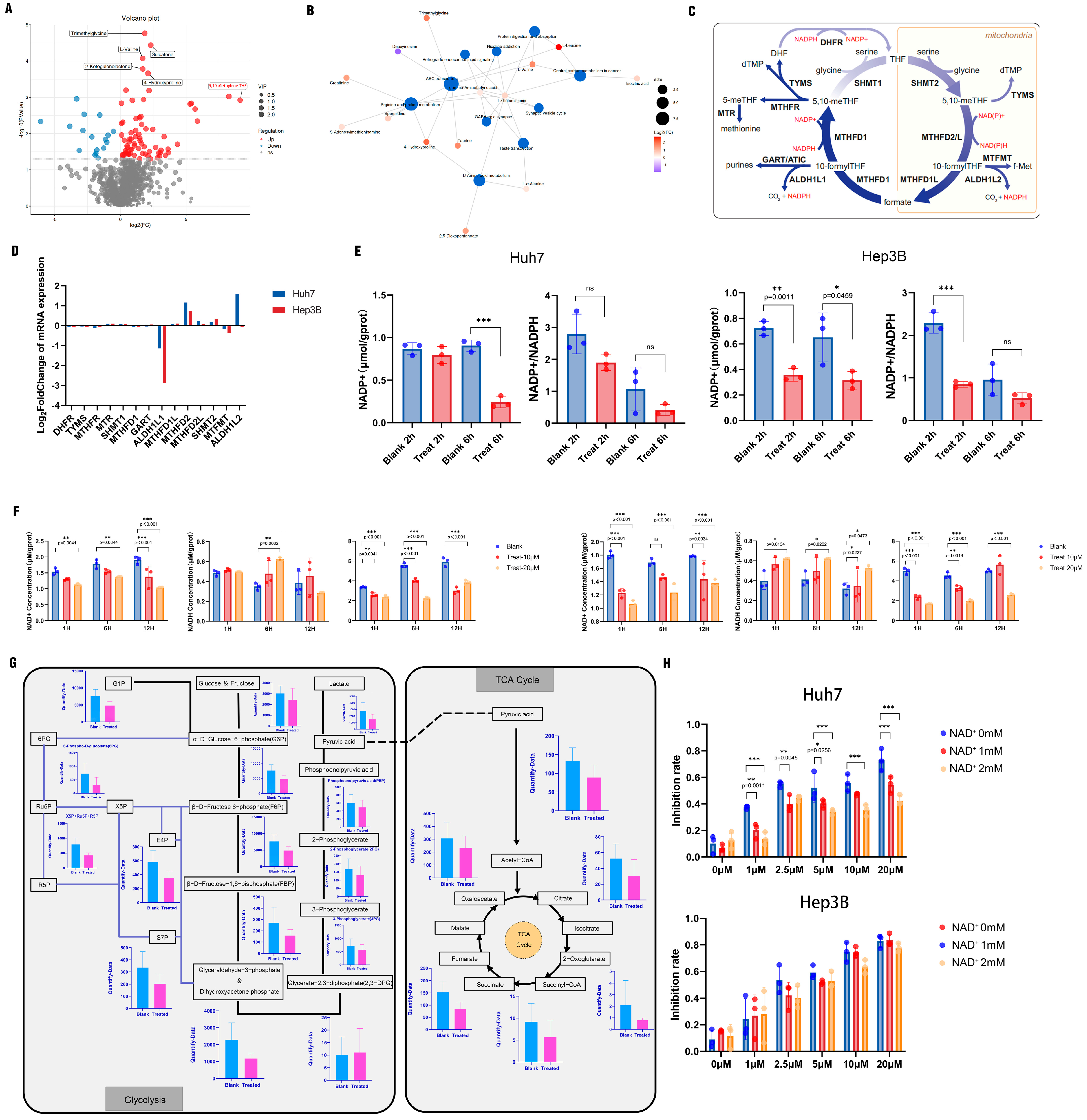 Cancers 18 00092 g004