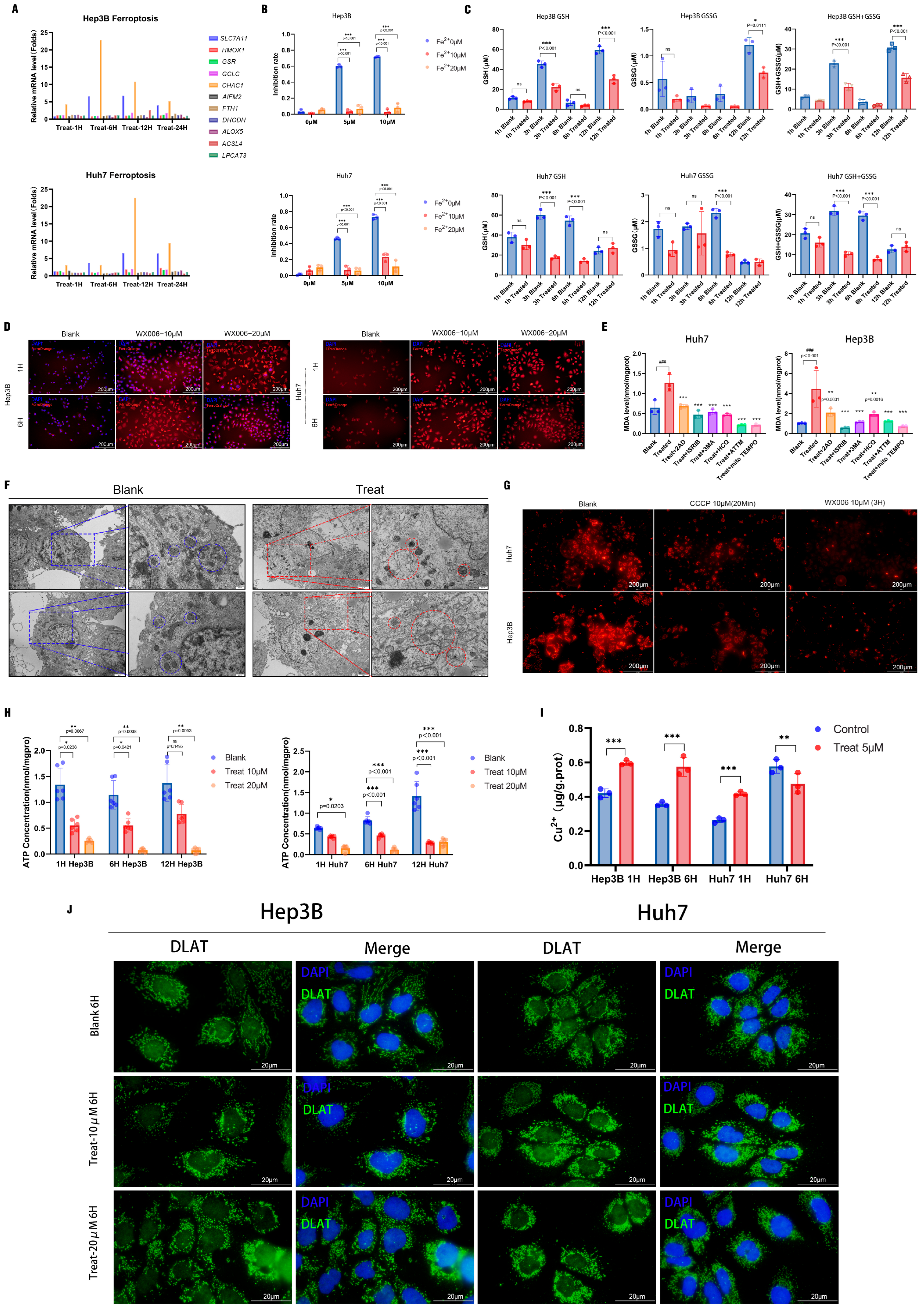 Cancers 18 00092 g005