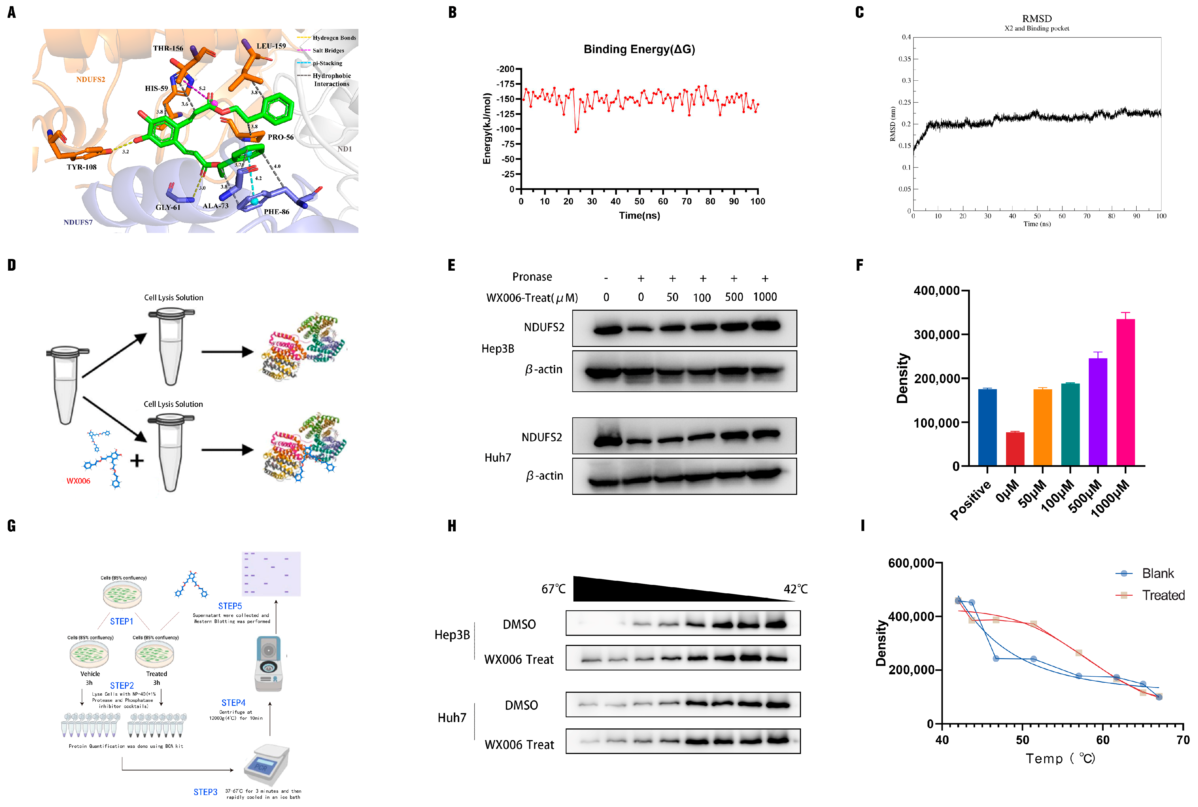 Cancers 18 00092 g007
