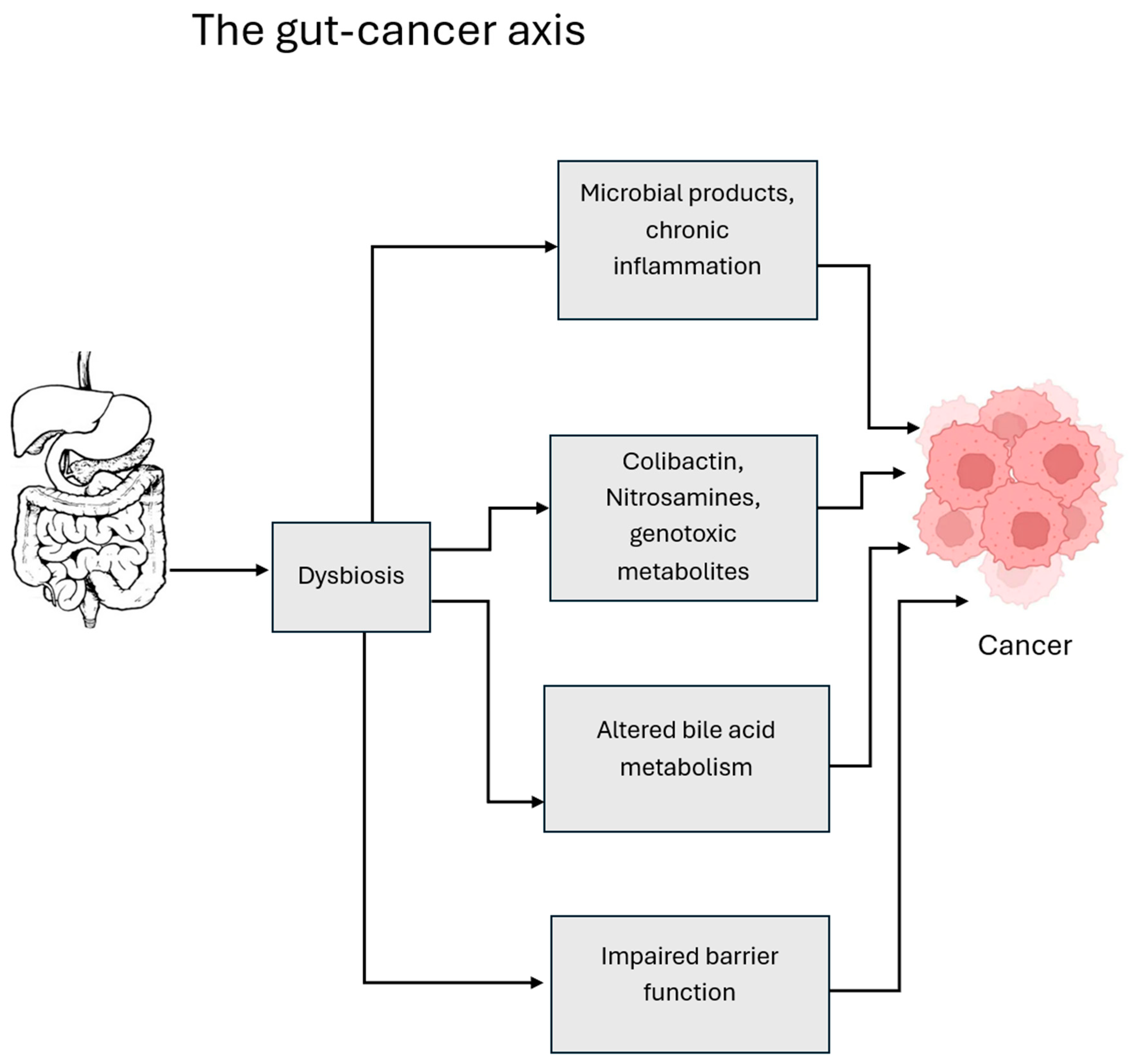 Cancers 18 00099 g005 Cancers 18 00099 g005