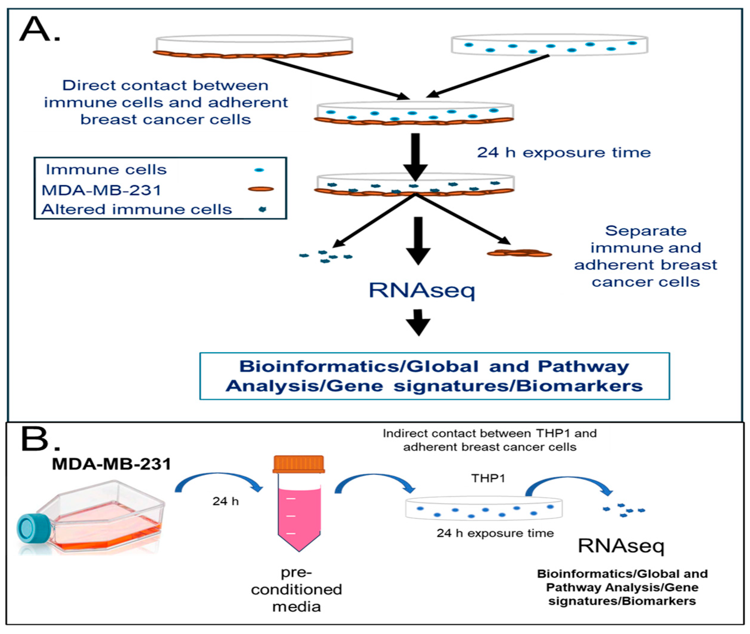 Cancers 18 00116 g001