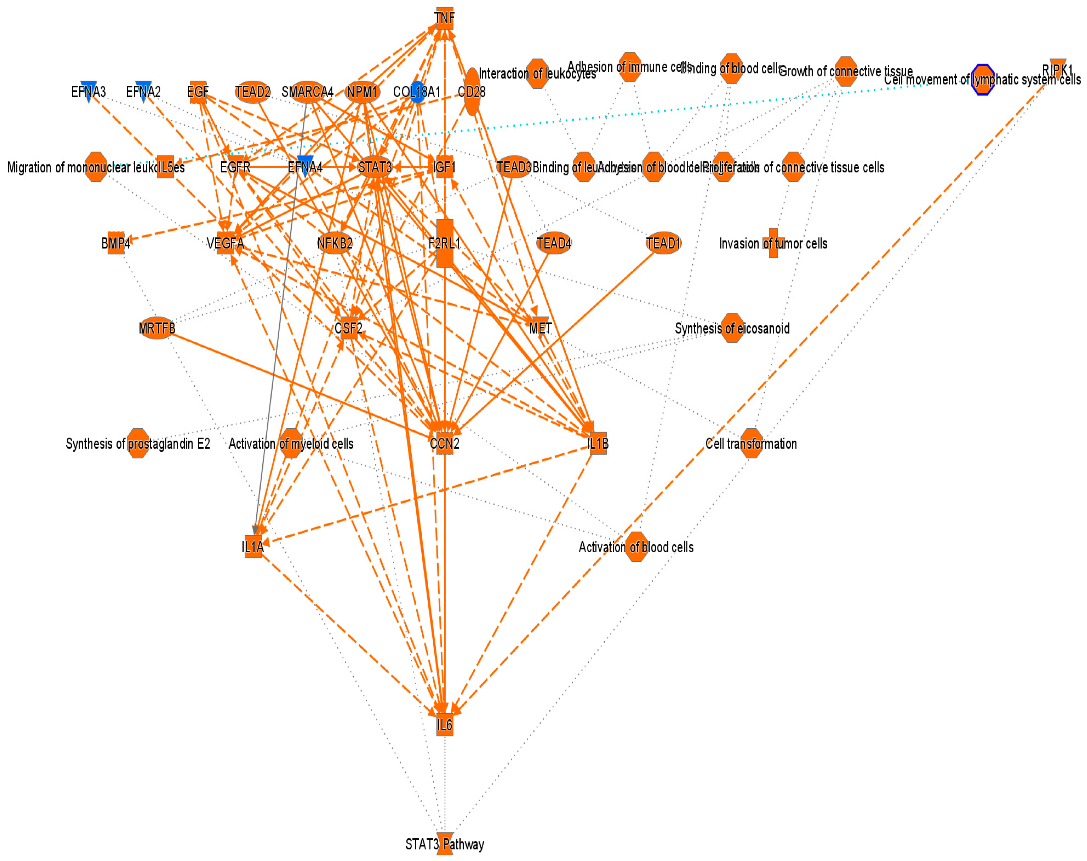 Cancers 18 00116 g004