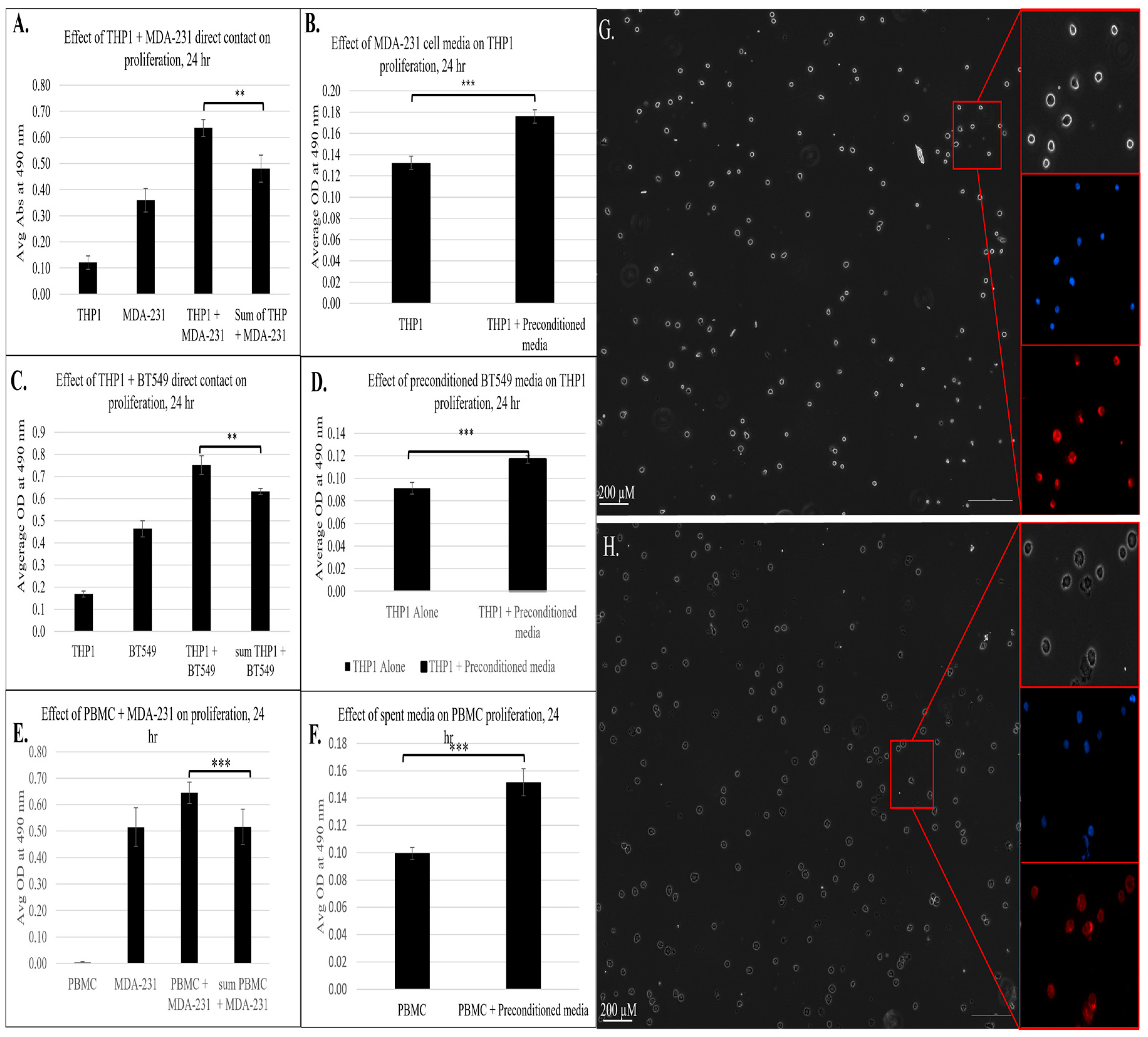 Cancers 18 00116 g006