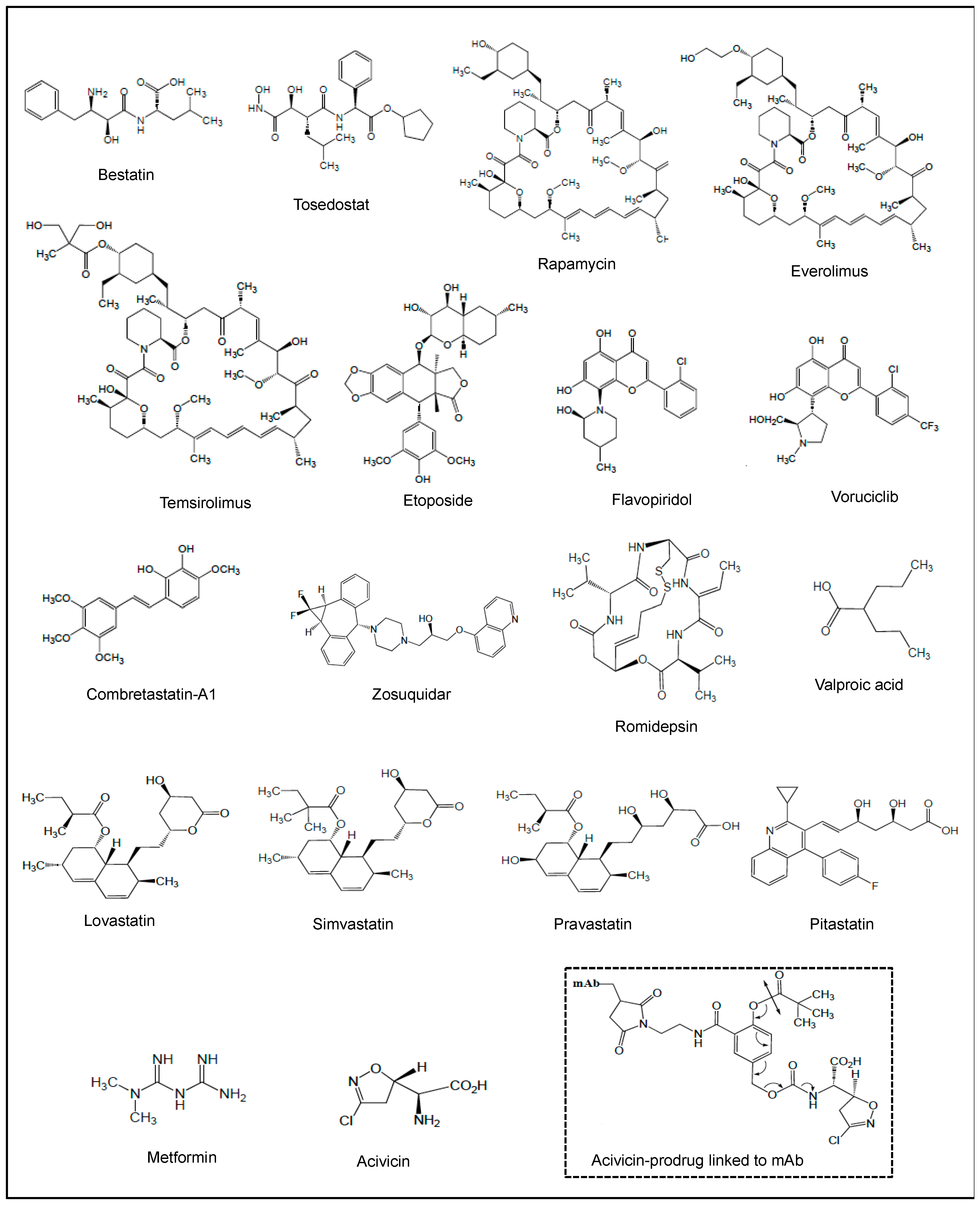 Cancers 18 00185 g002