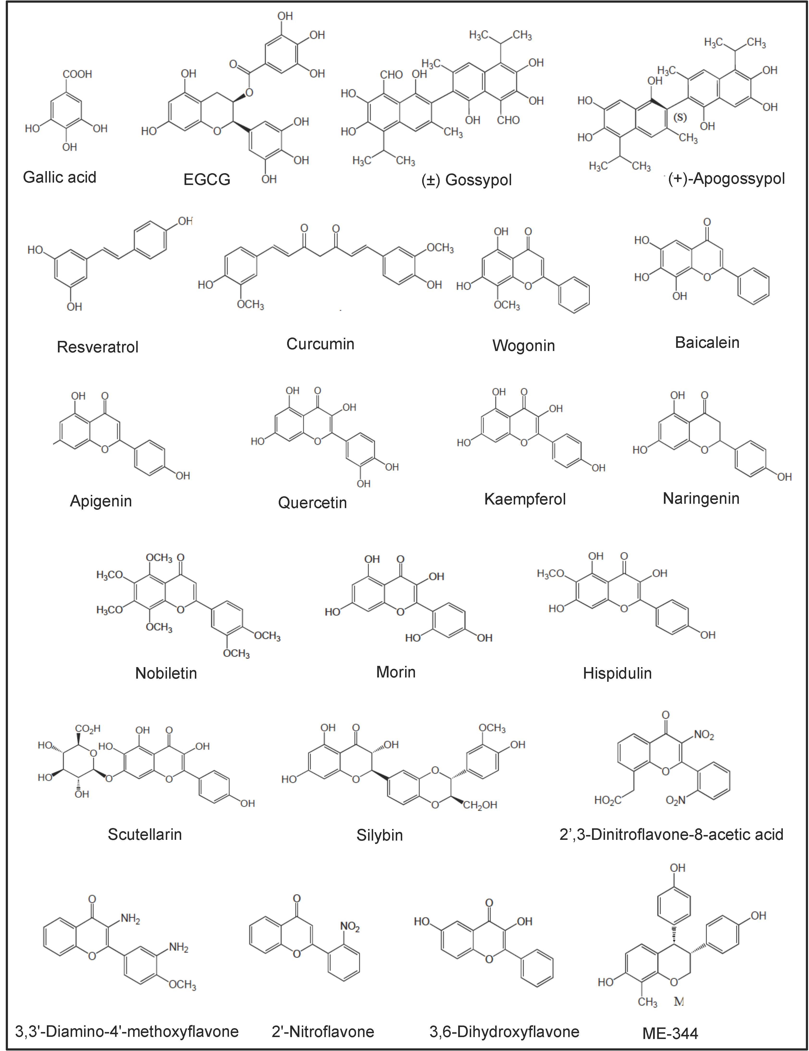 Cancers 18 00185 g003