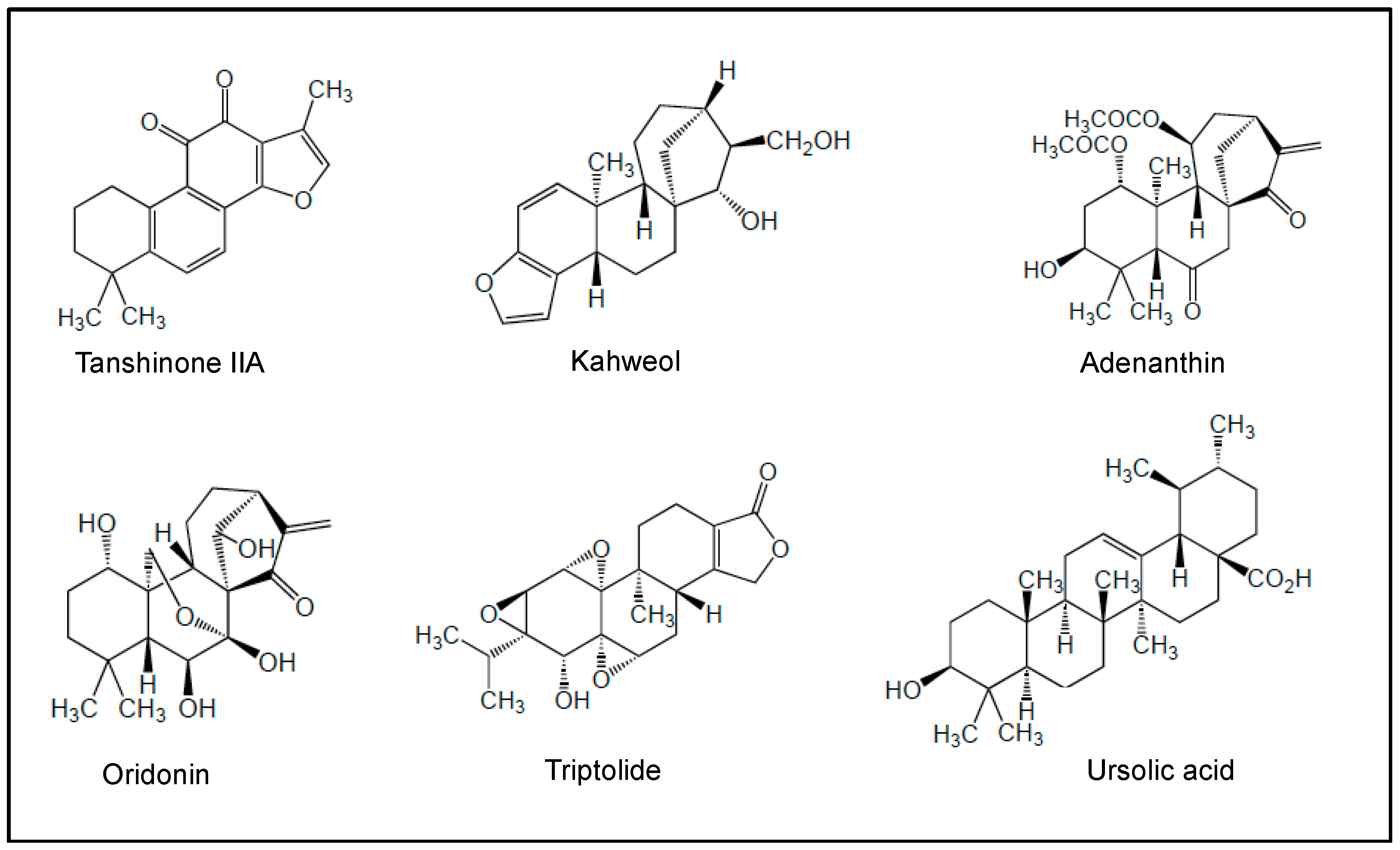 Cancers 18 00185 g005