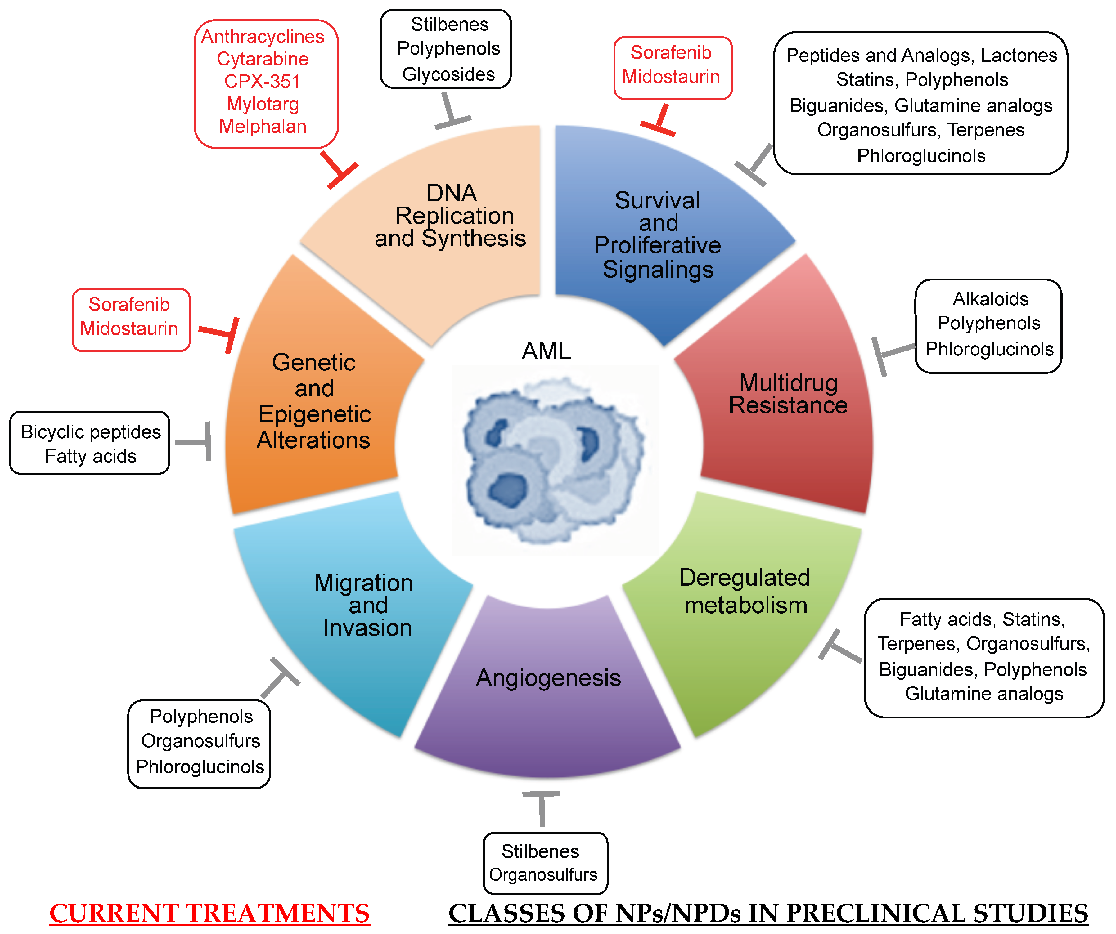 Cancers 18 00185 g007