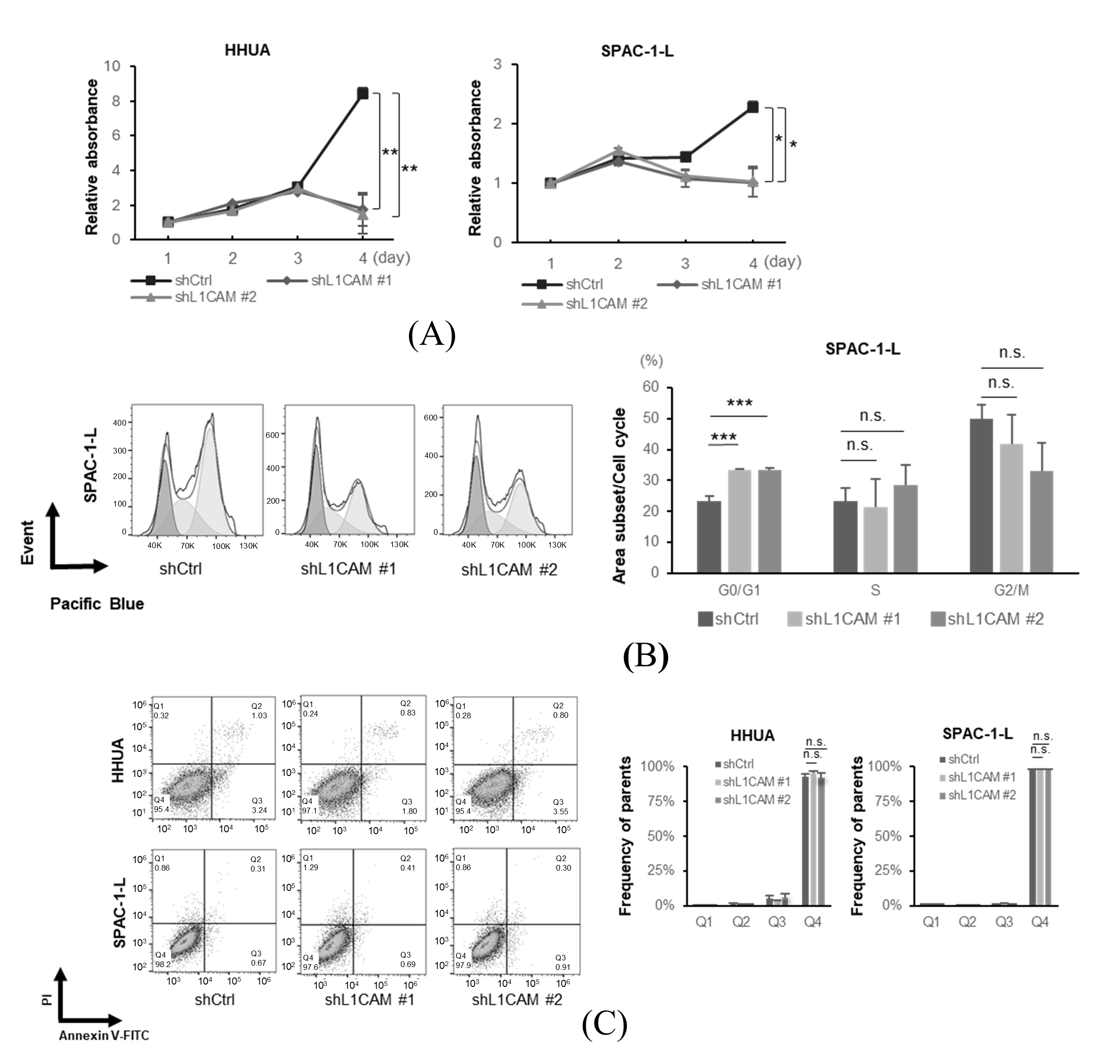 Cancers 18 00198 g002