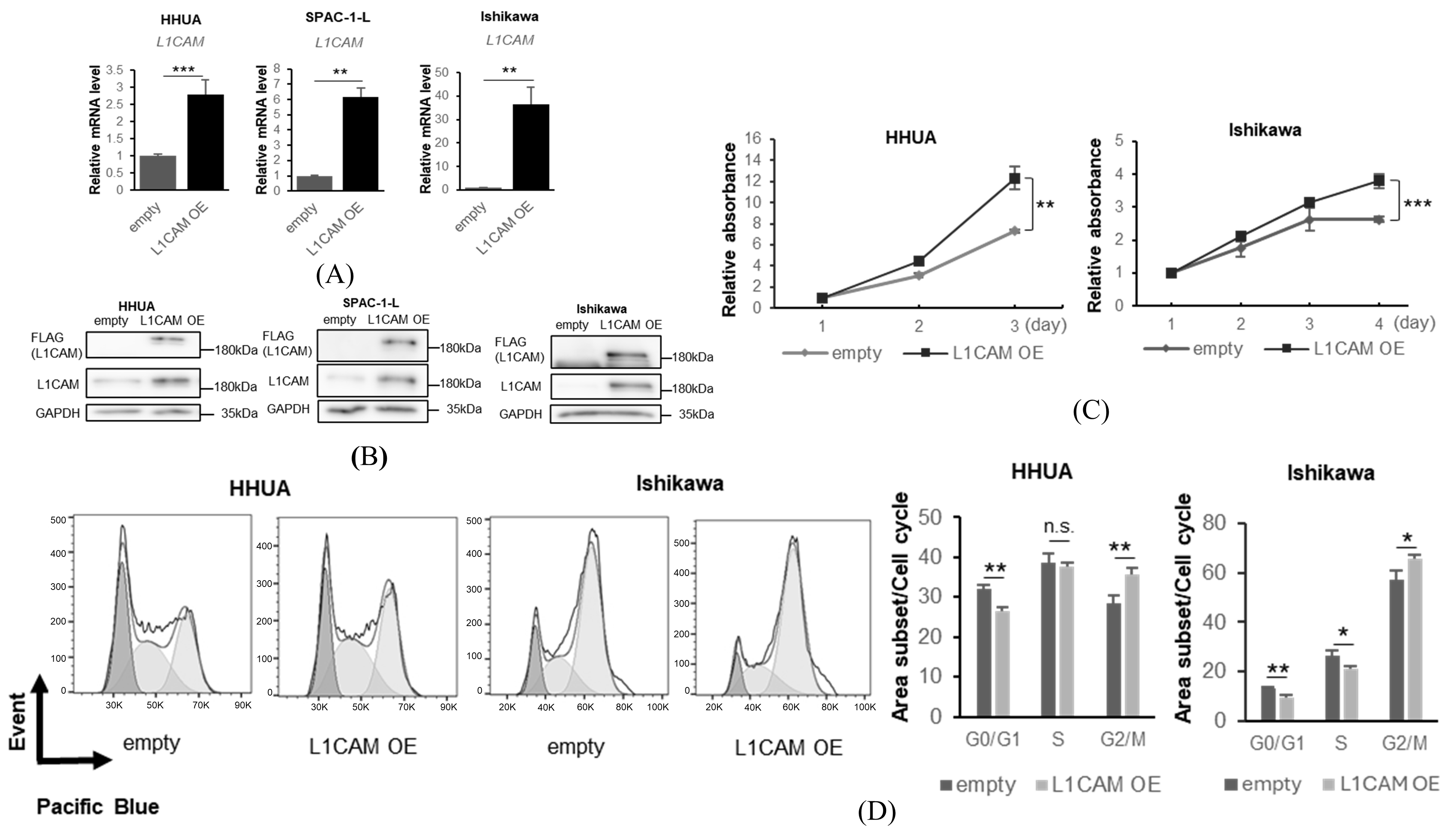 Cancers 18 00198 g003