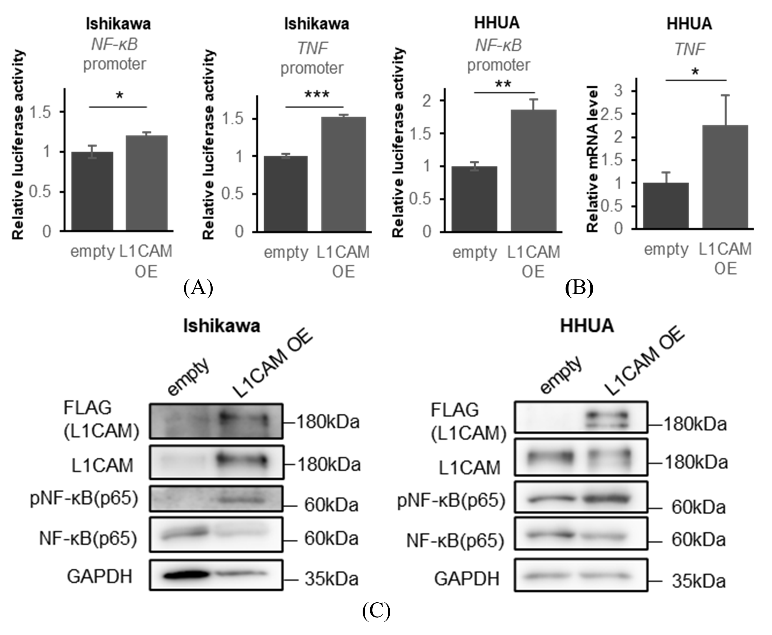 Cancers 18 00198 g005
