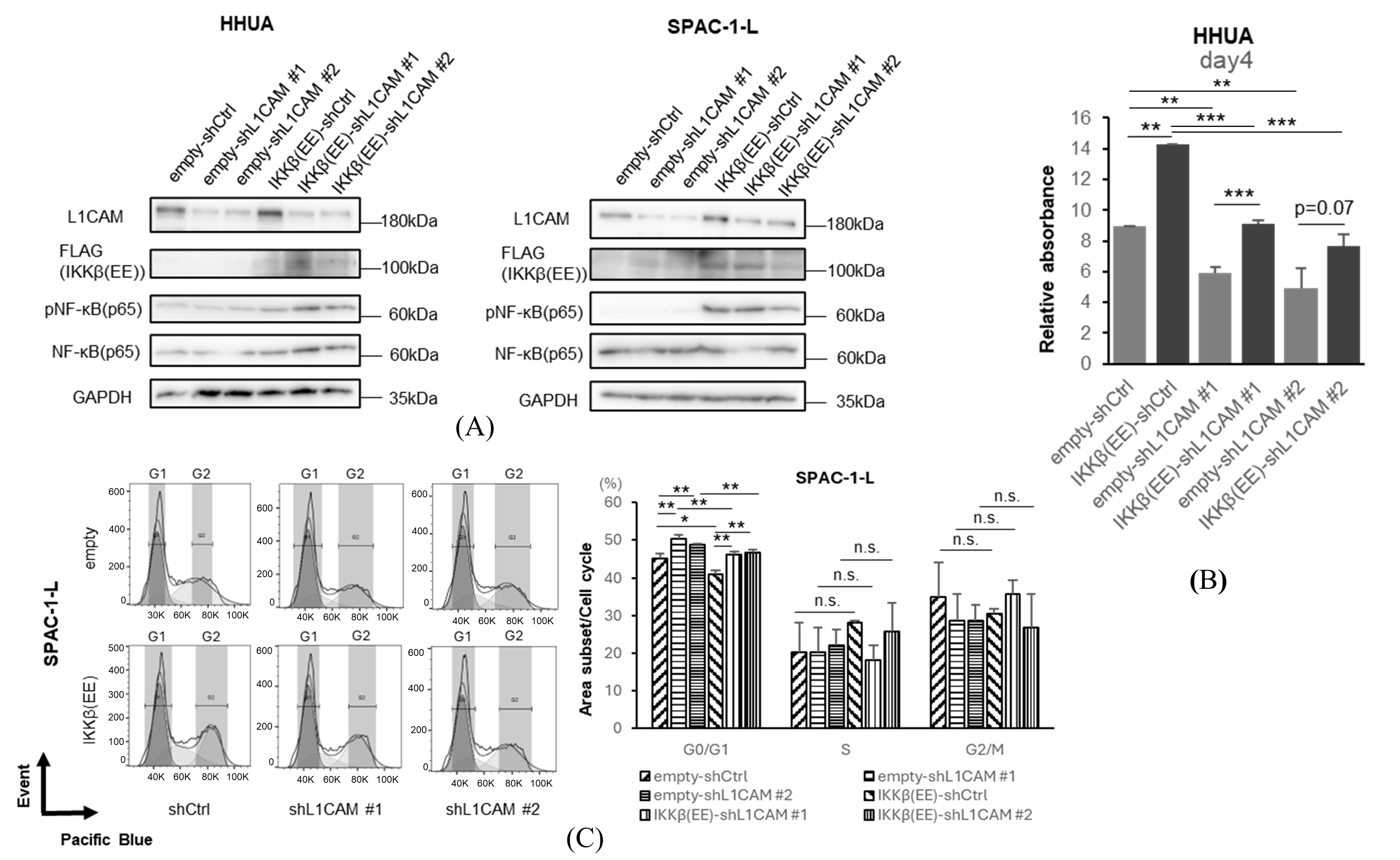 Cancers 18 00198 g006