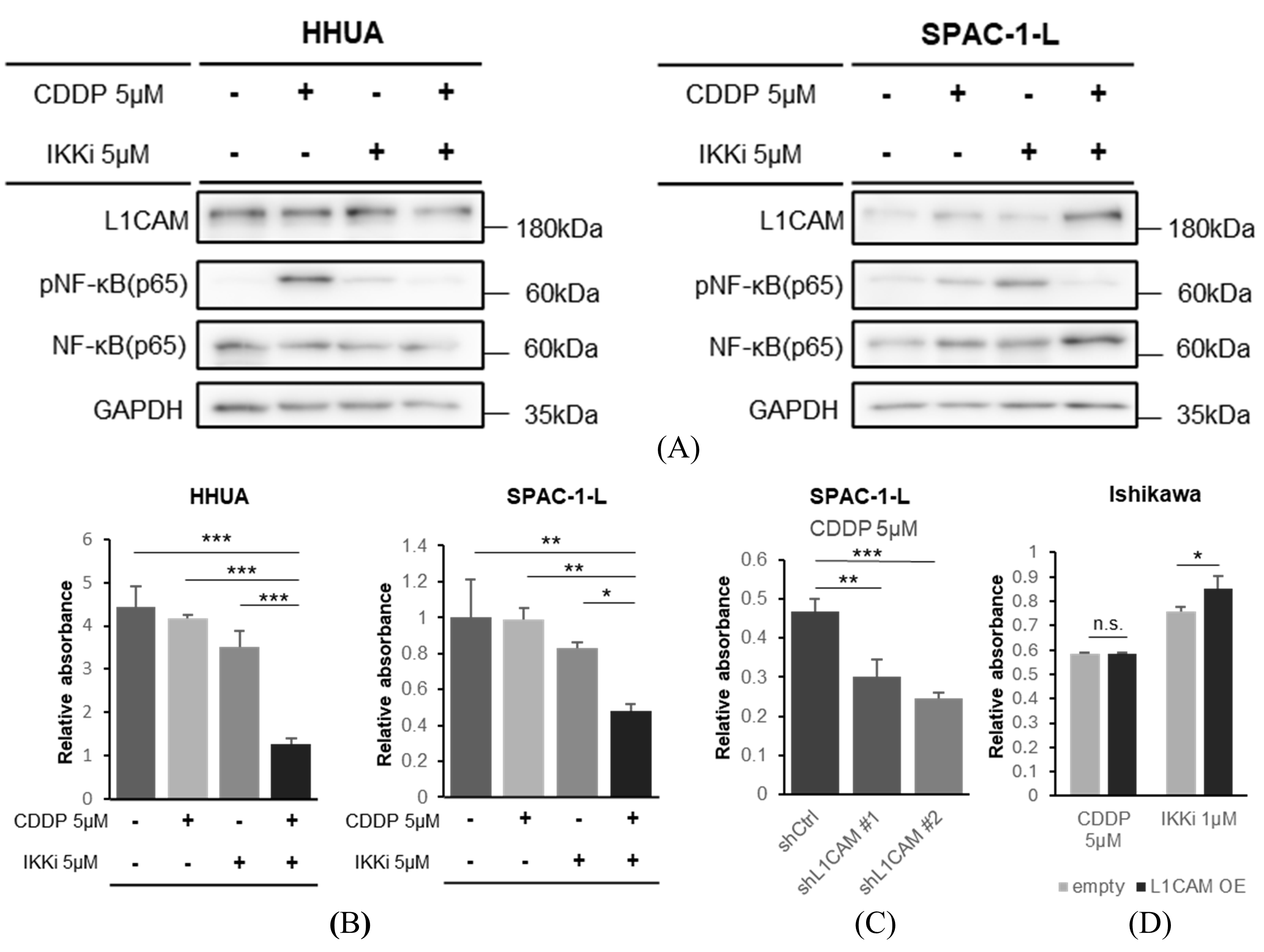Cancers 18 00198 g008