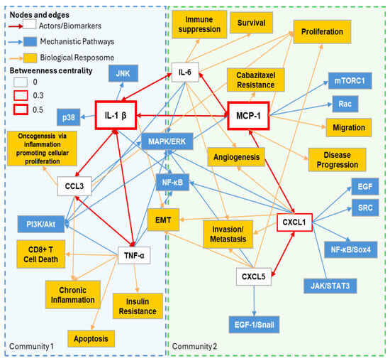 Cancers 18 00206 g002