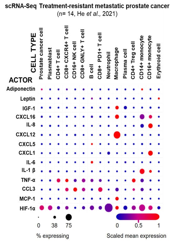 Cancers 18 00206 g003