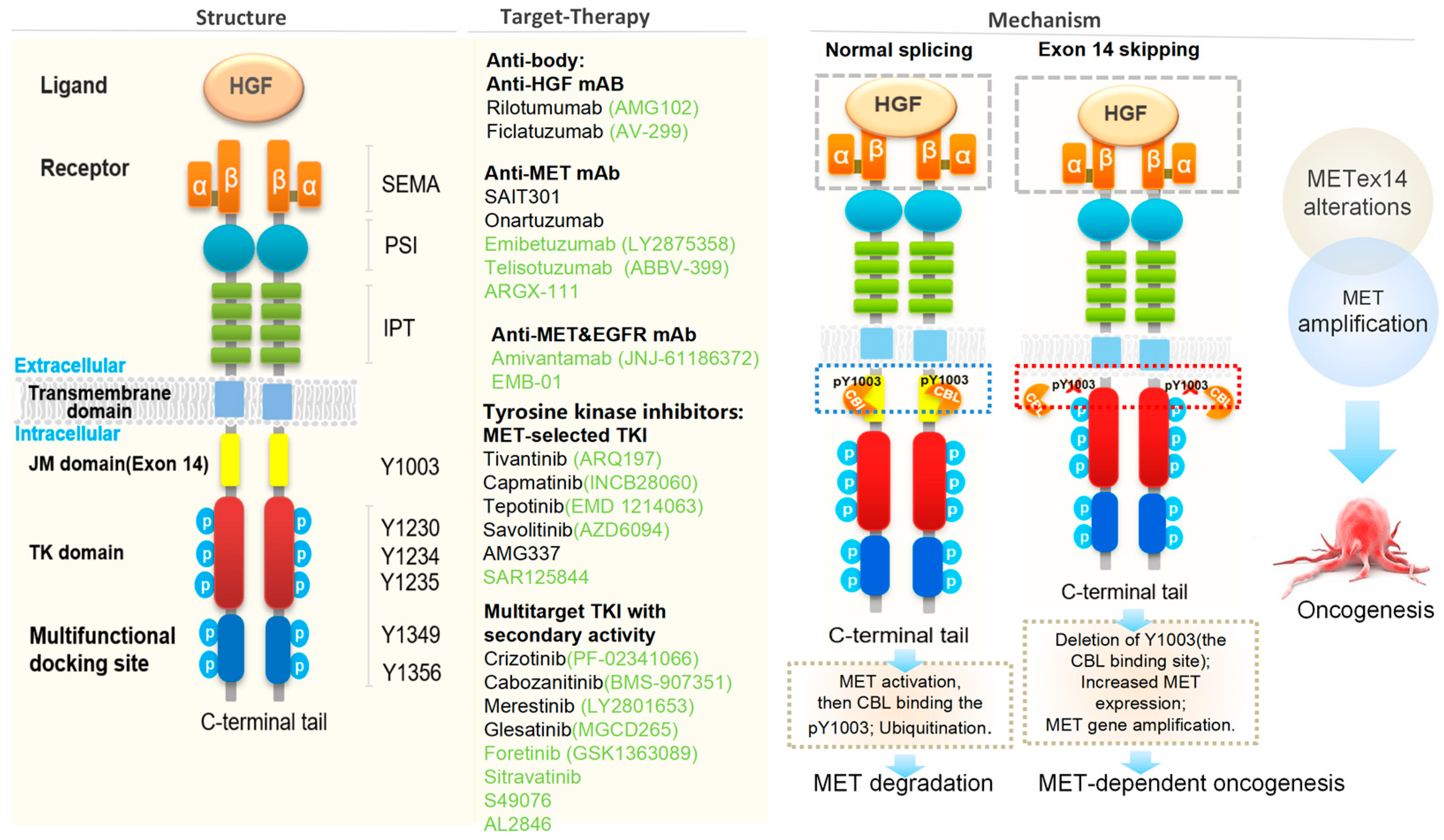 Cancers 18 00207 g003