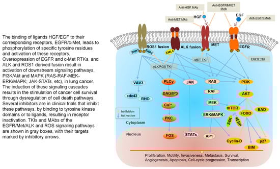 Cancers 18 00207 g004