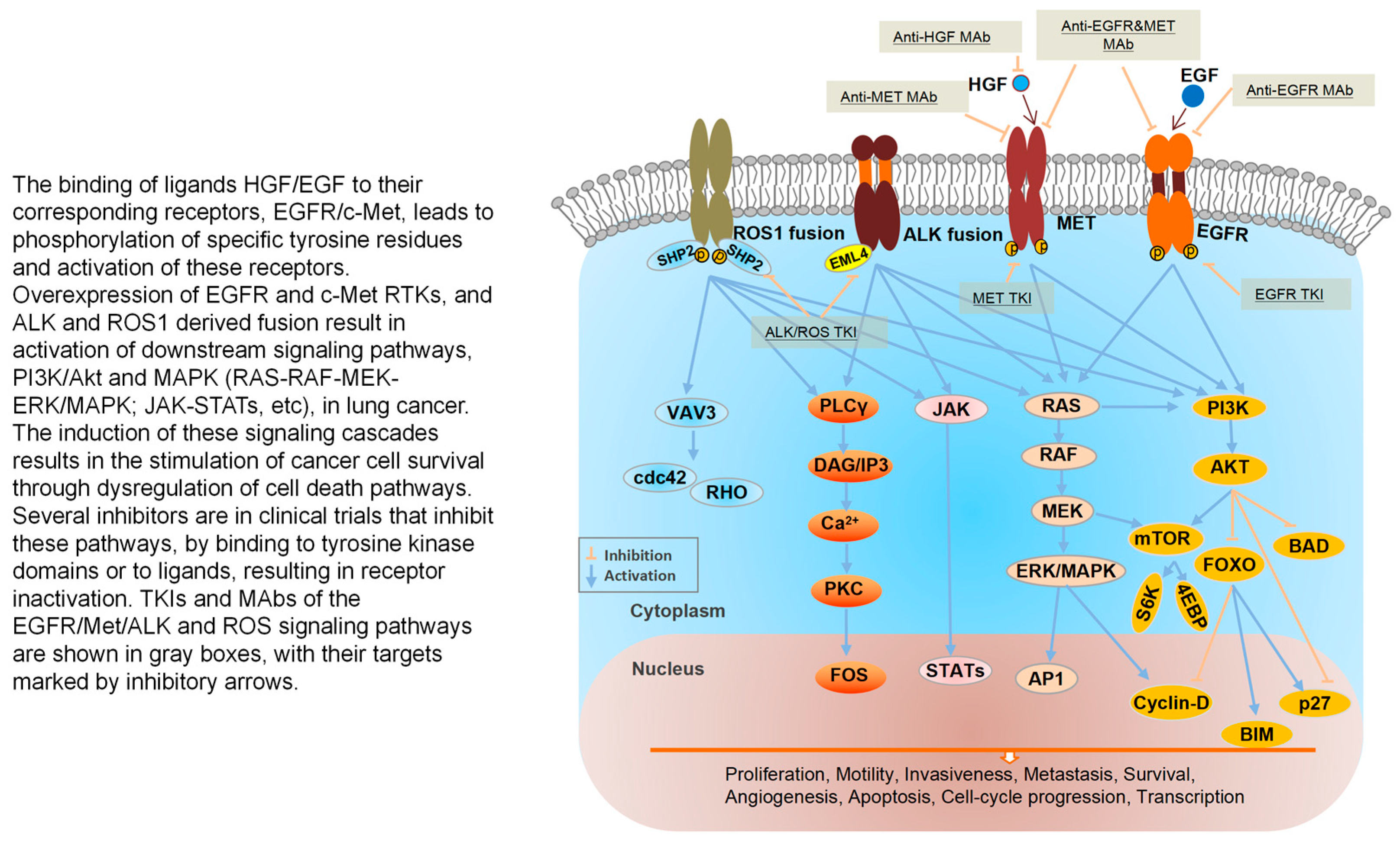 Cancers 18 00207 g004