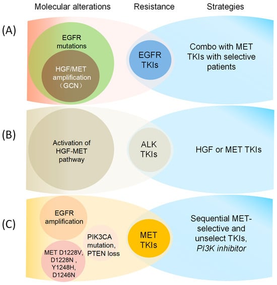 Cancers 18 00207 g005