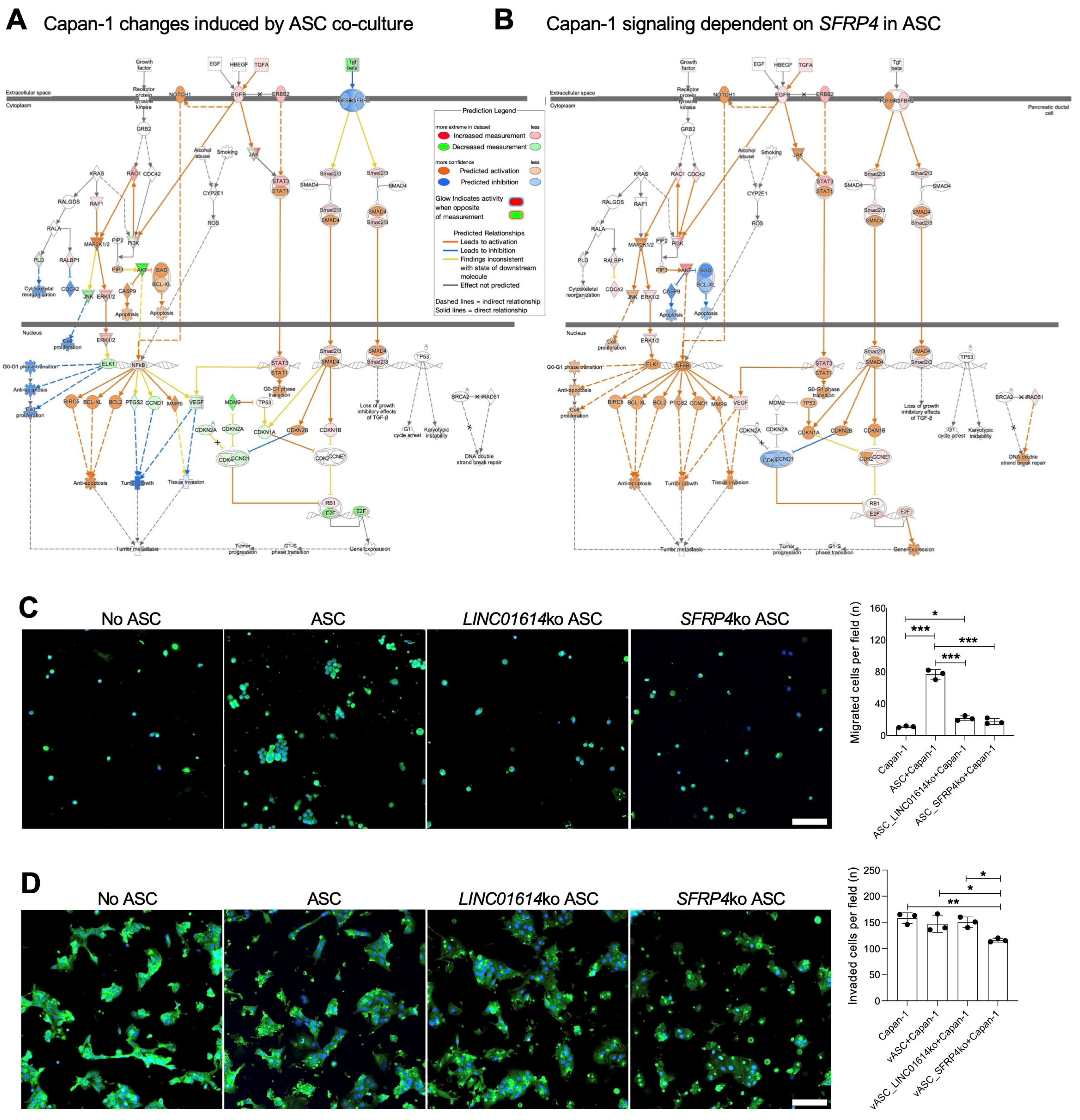 Cancers 18 00233 g003