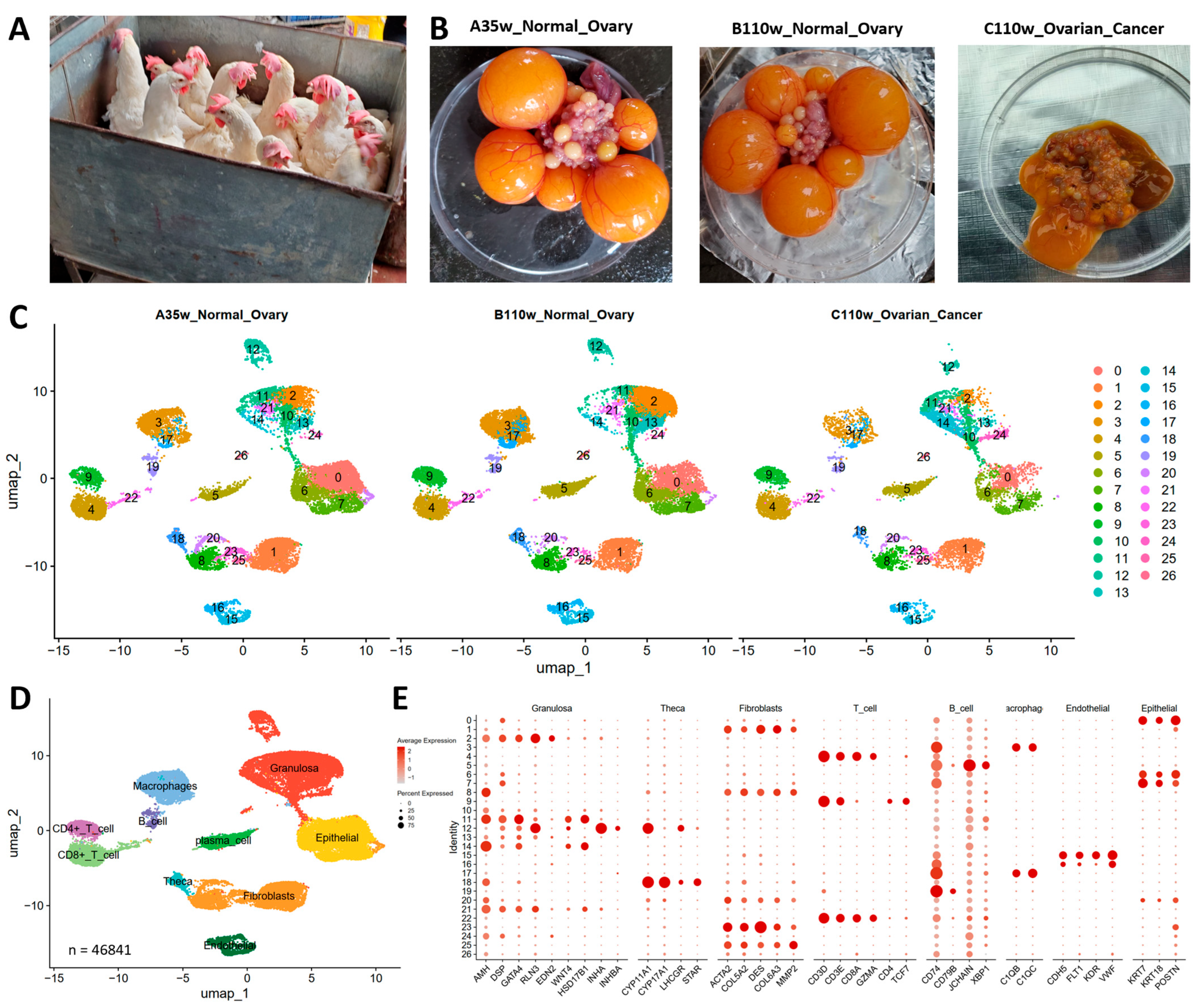 Cancers 18 00243 g001