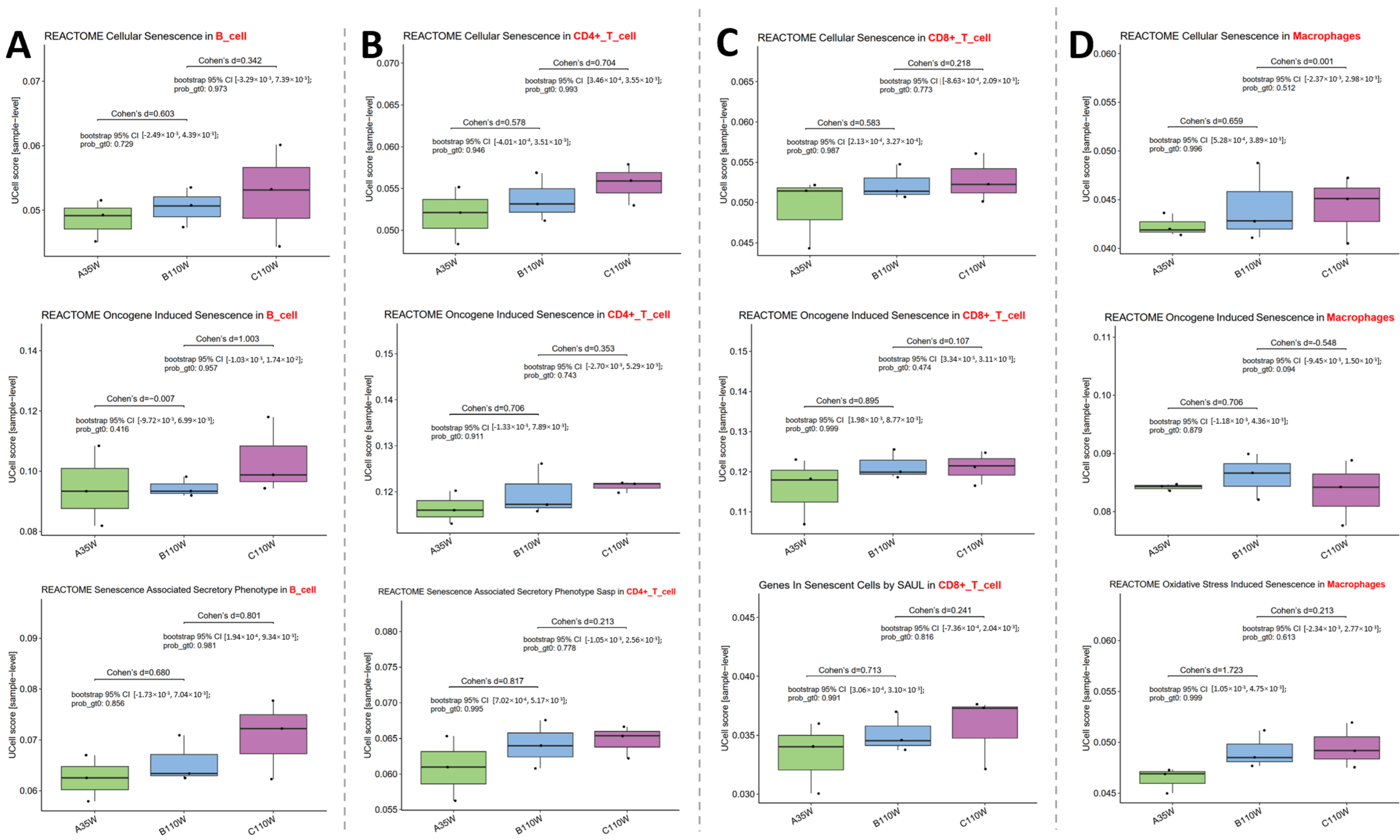 Cancers 18 00243 g002