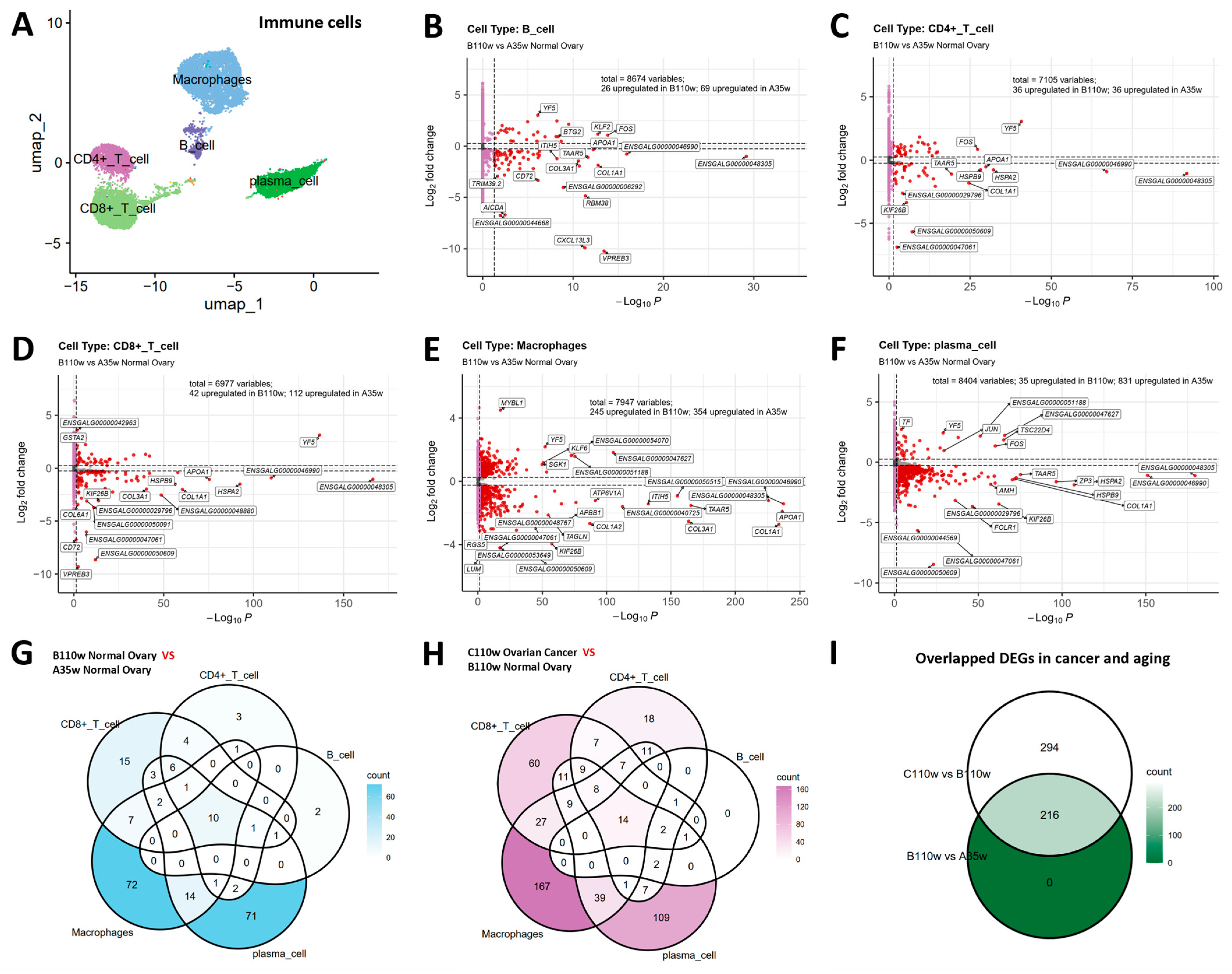 Cancers 18 00243 g004