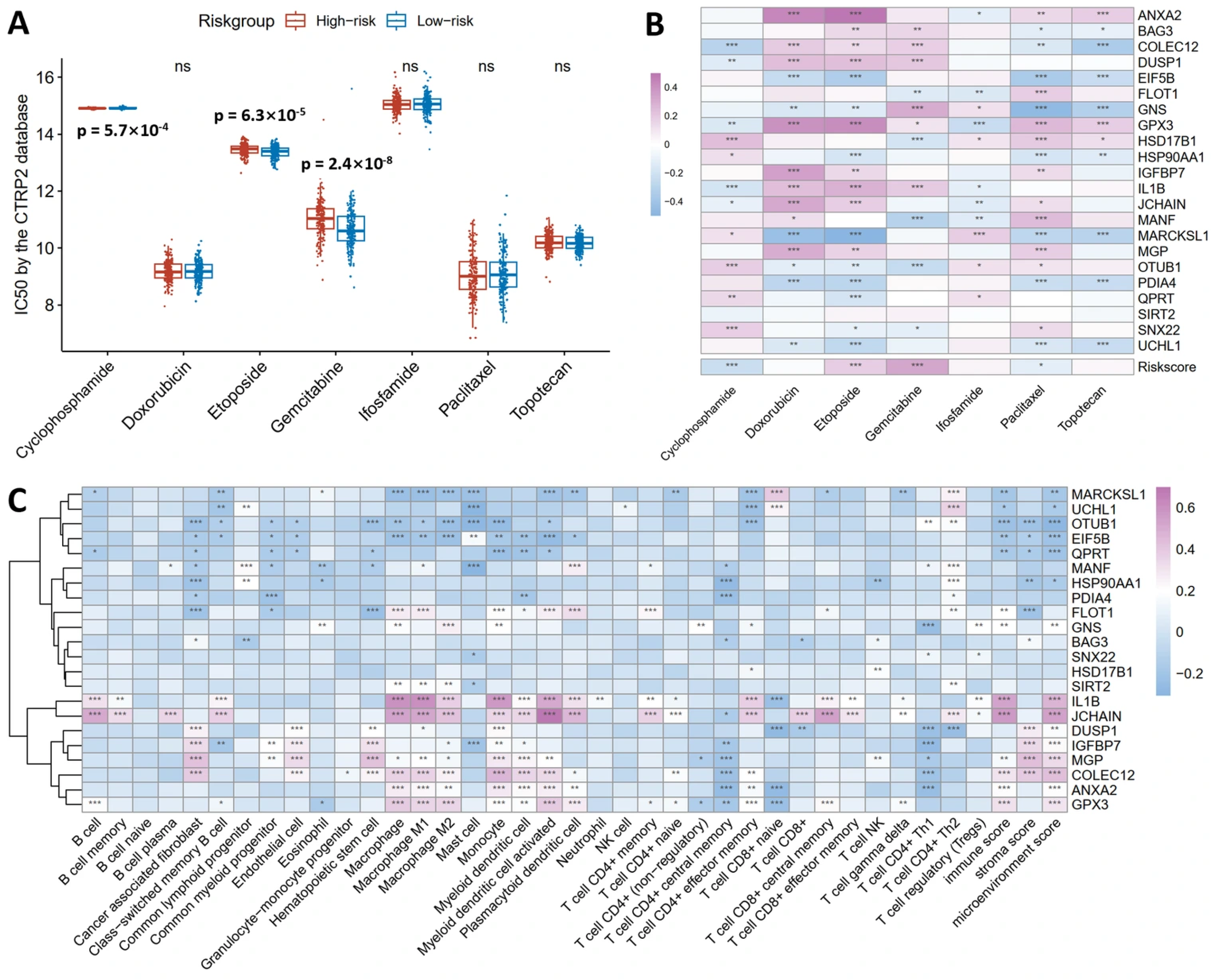 Cancers 18 00243 g006
