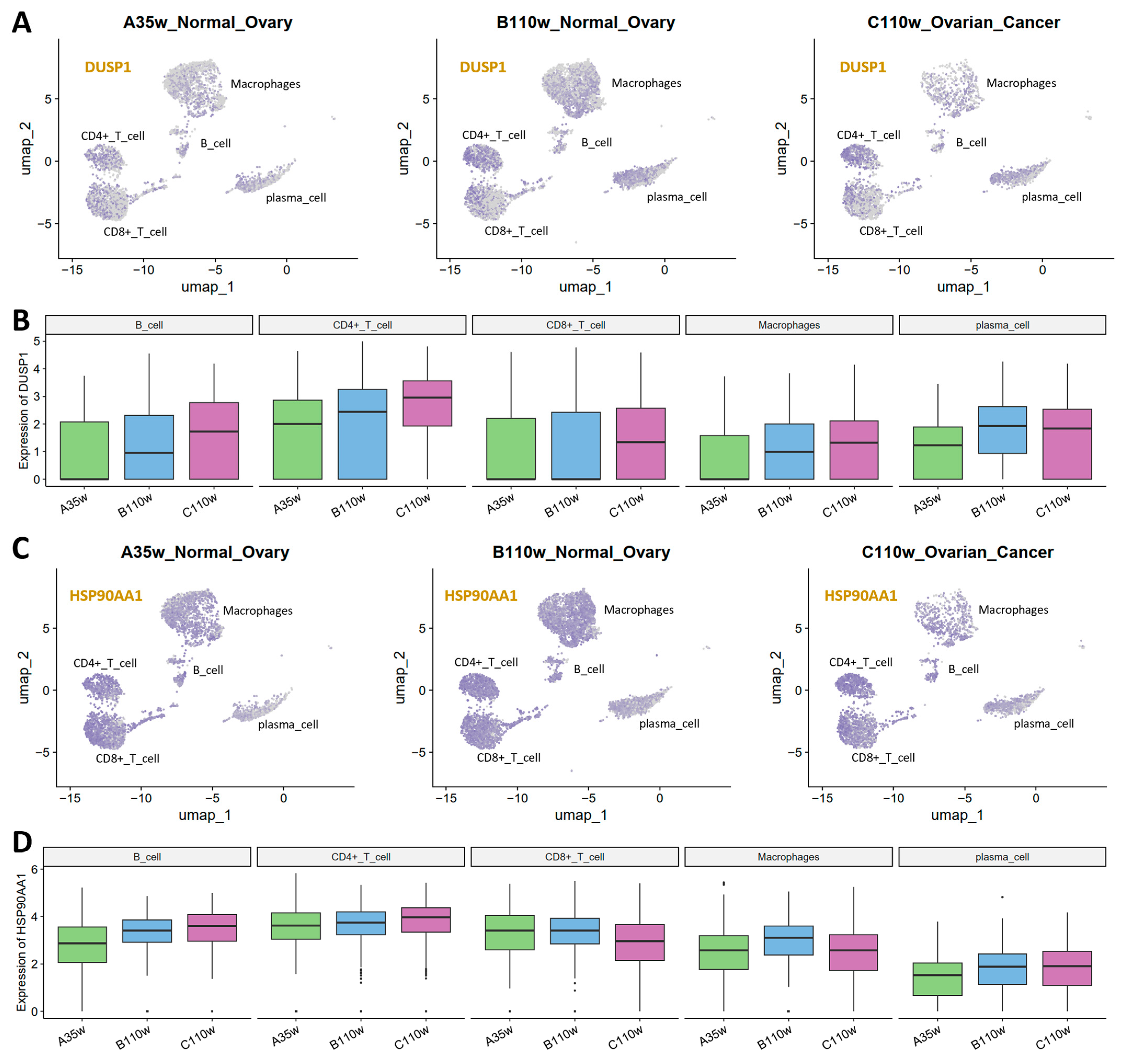Cancers 18 00243 g007