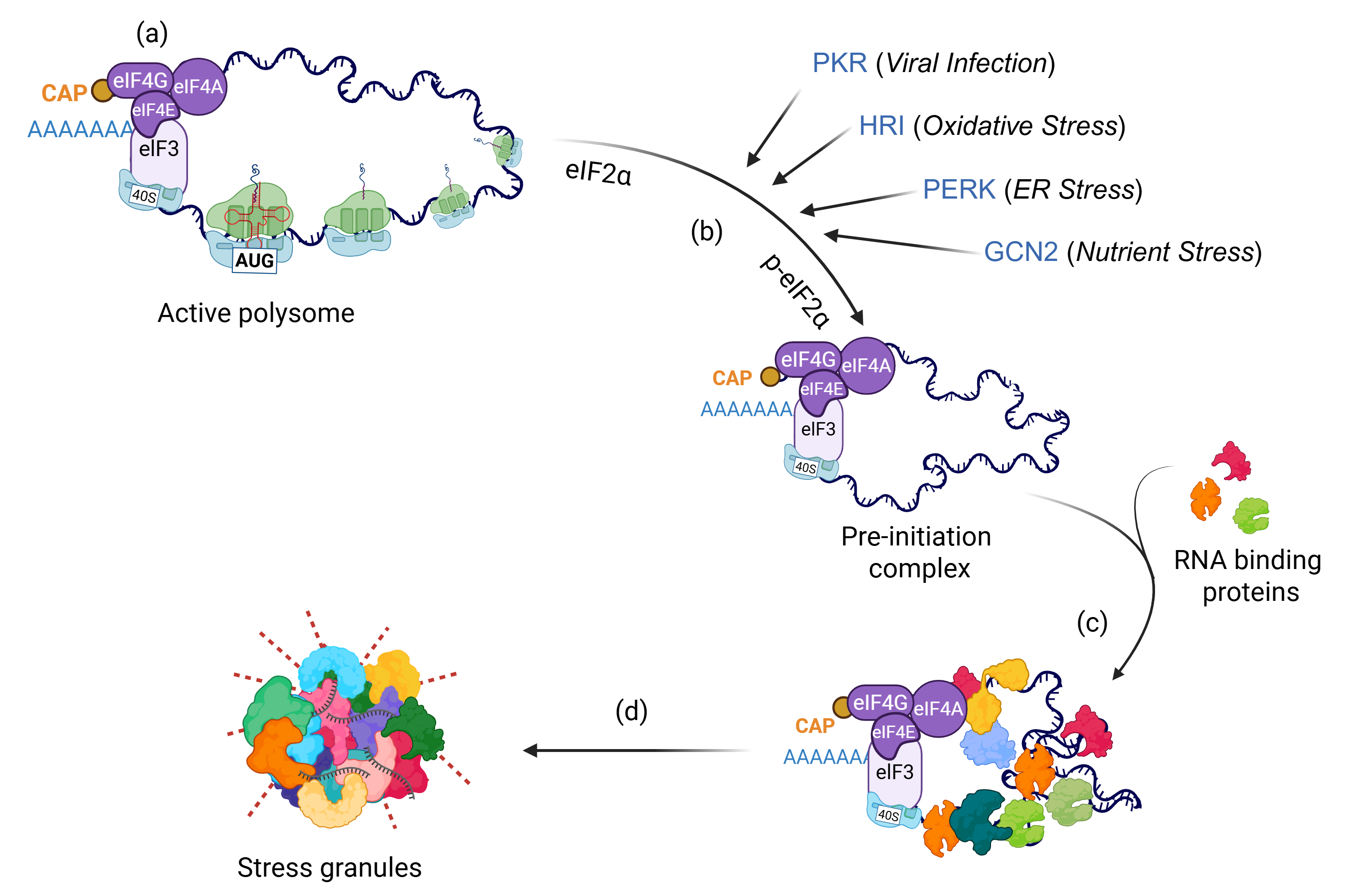 Cancers 18 00260 g001