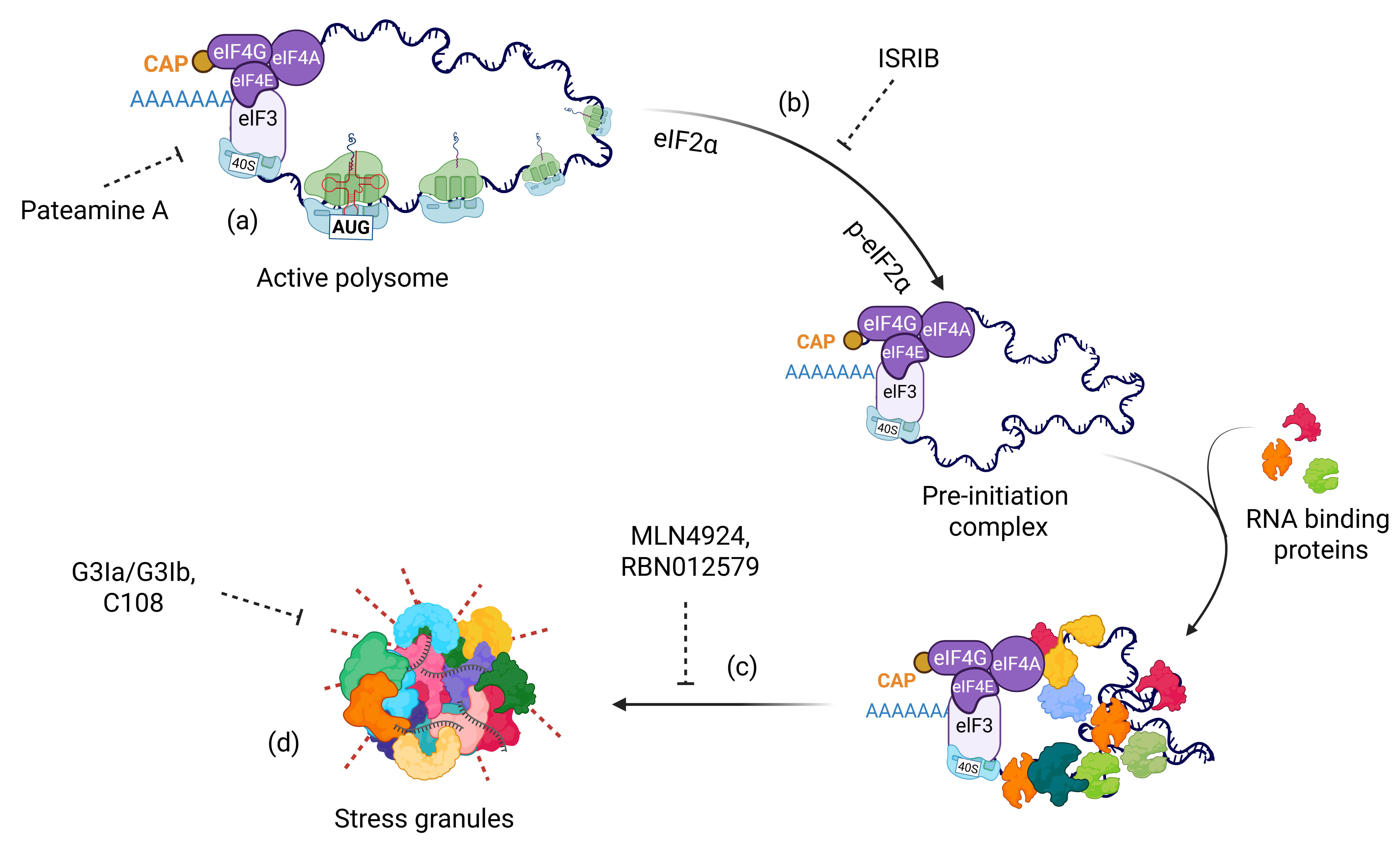Cancers 18 00260 g003