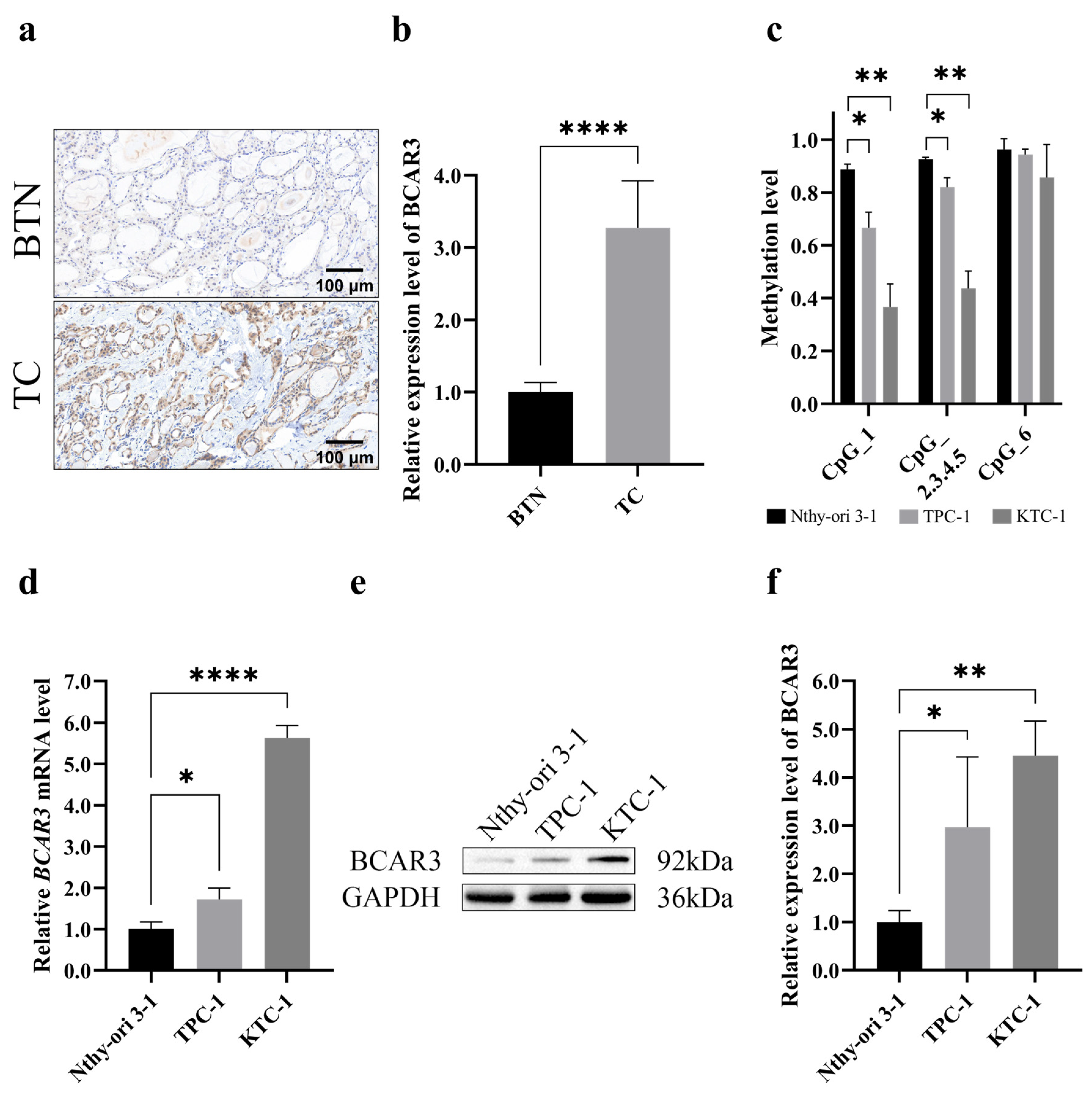 Cancers 18 00267 g003