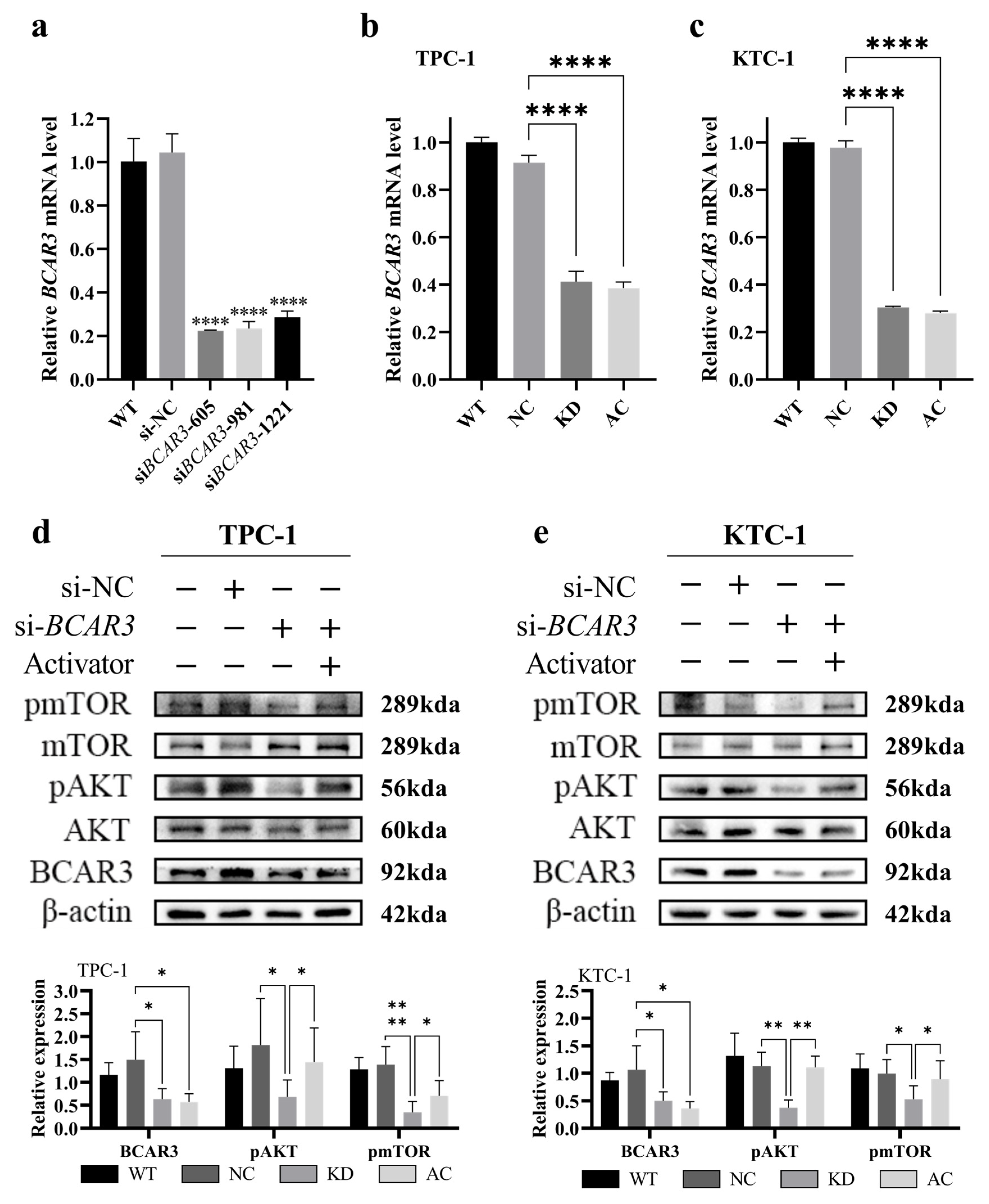 Cancers 18 00267 g004
