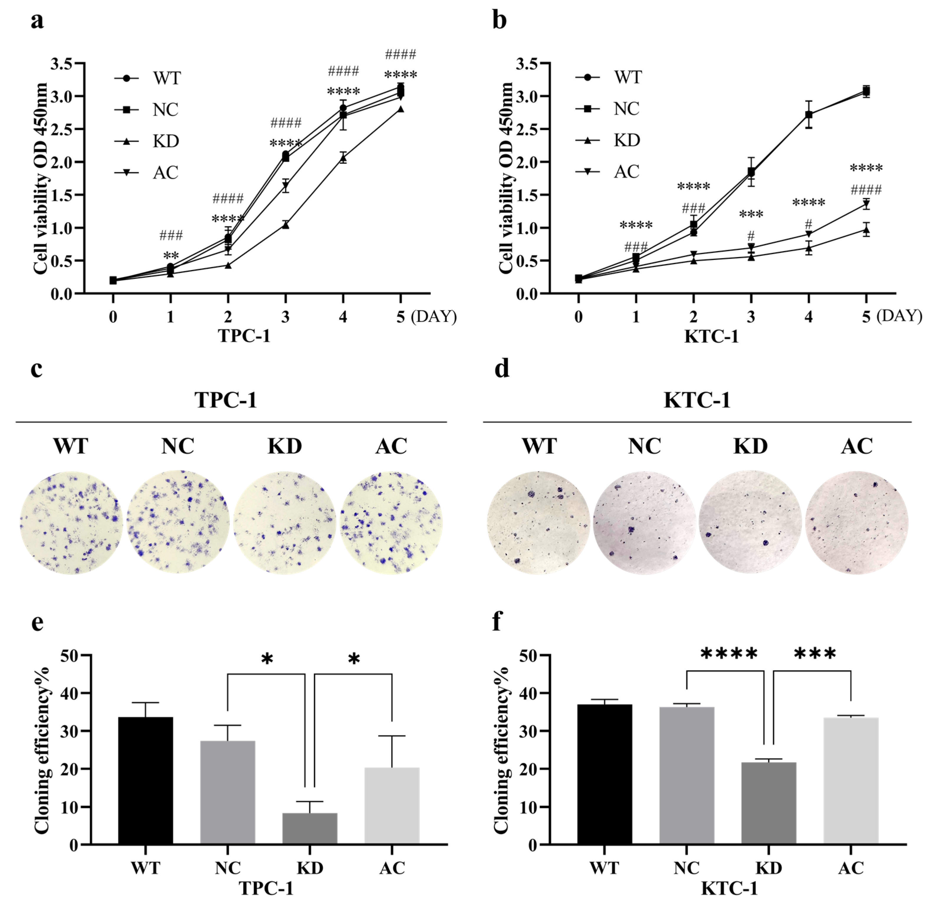Cancers 18 00267 g005