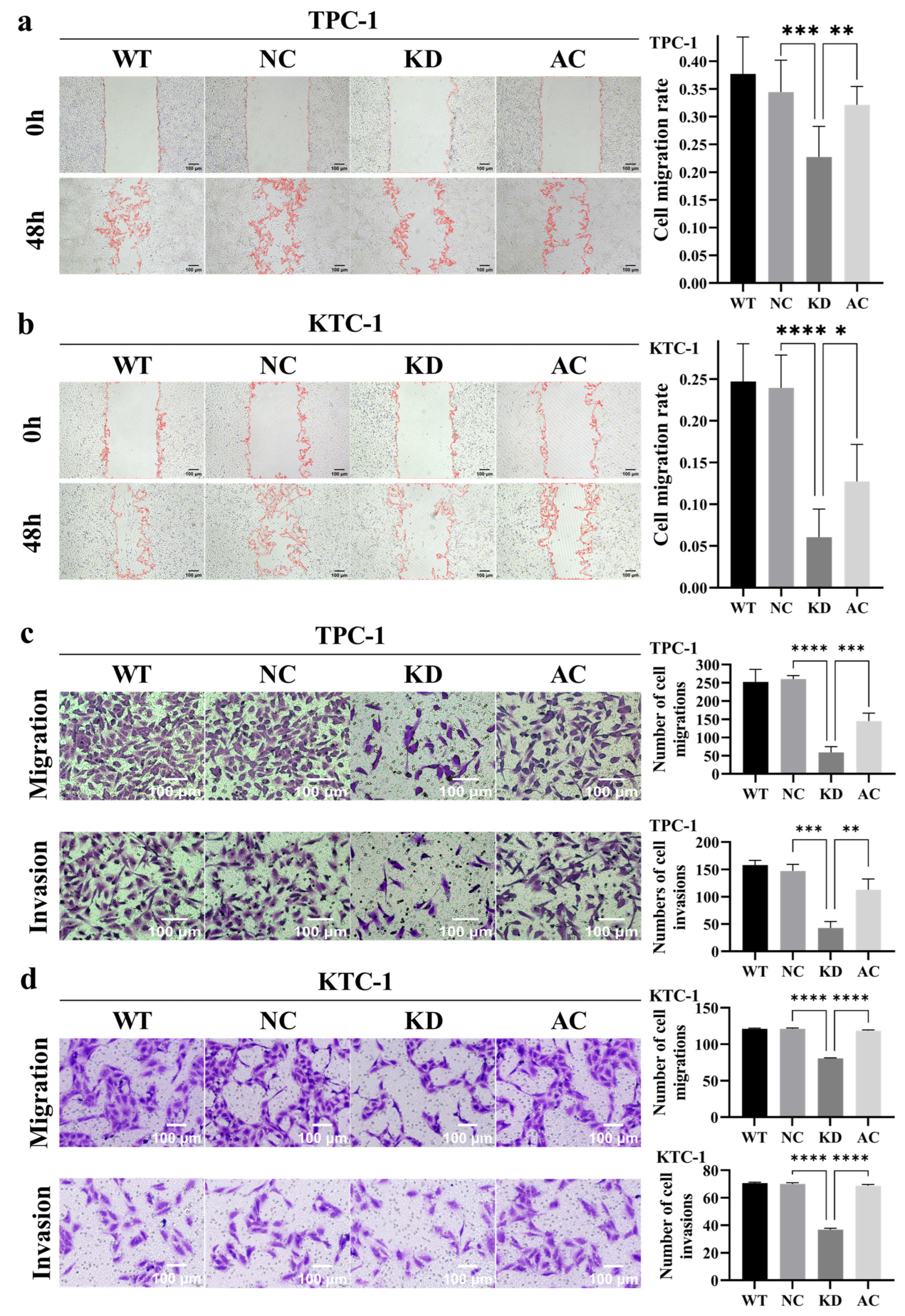 Cancers 18 00267 g006