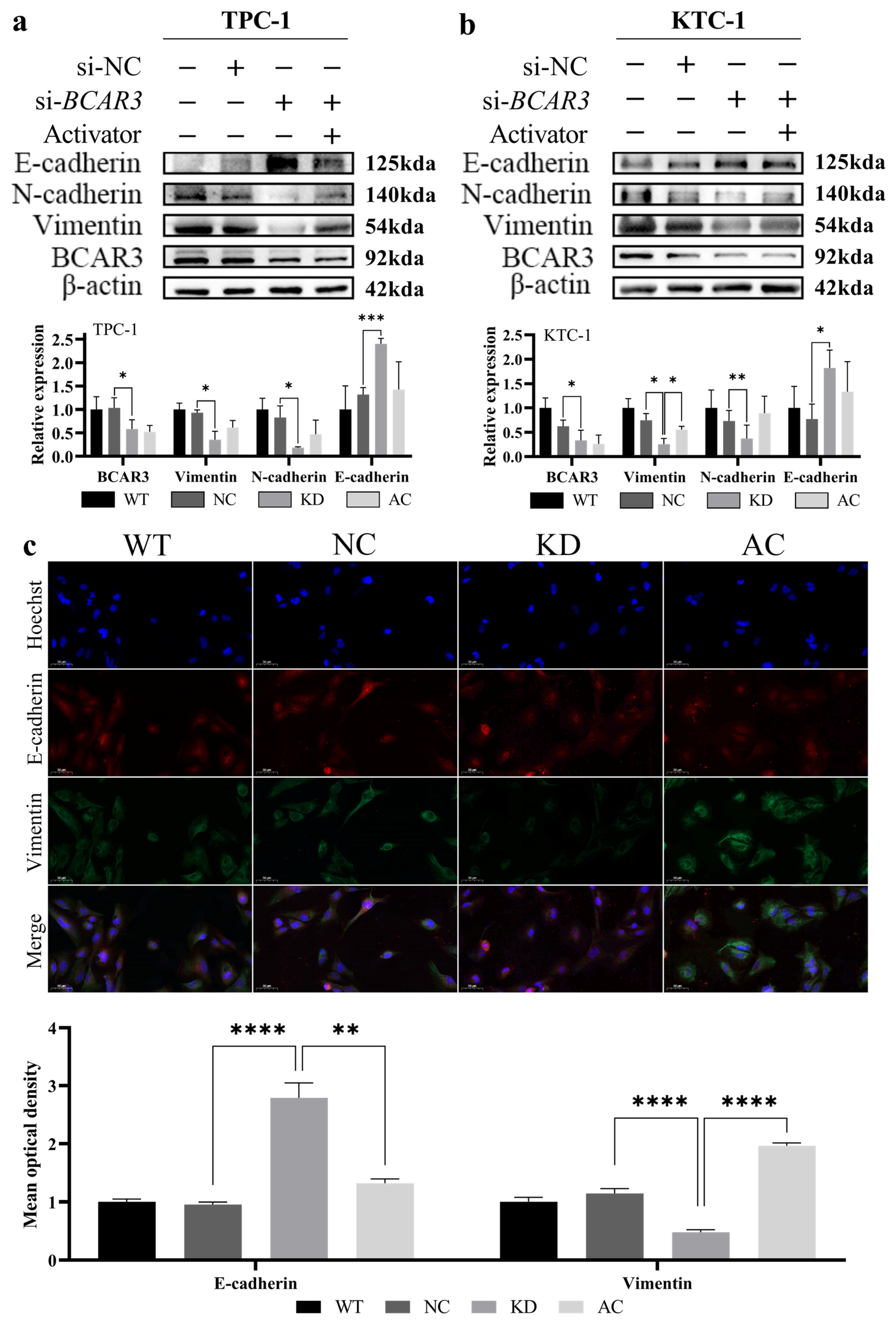 Cancers 18 00267 g007