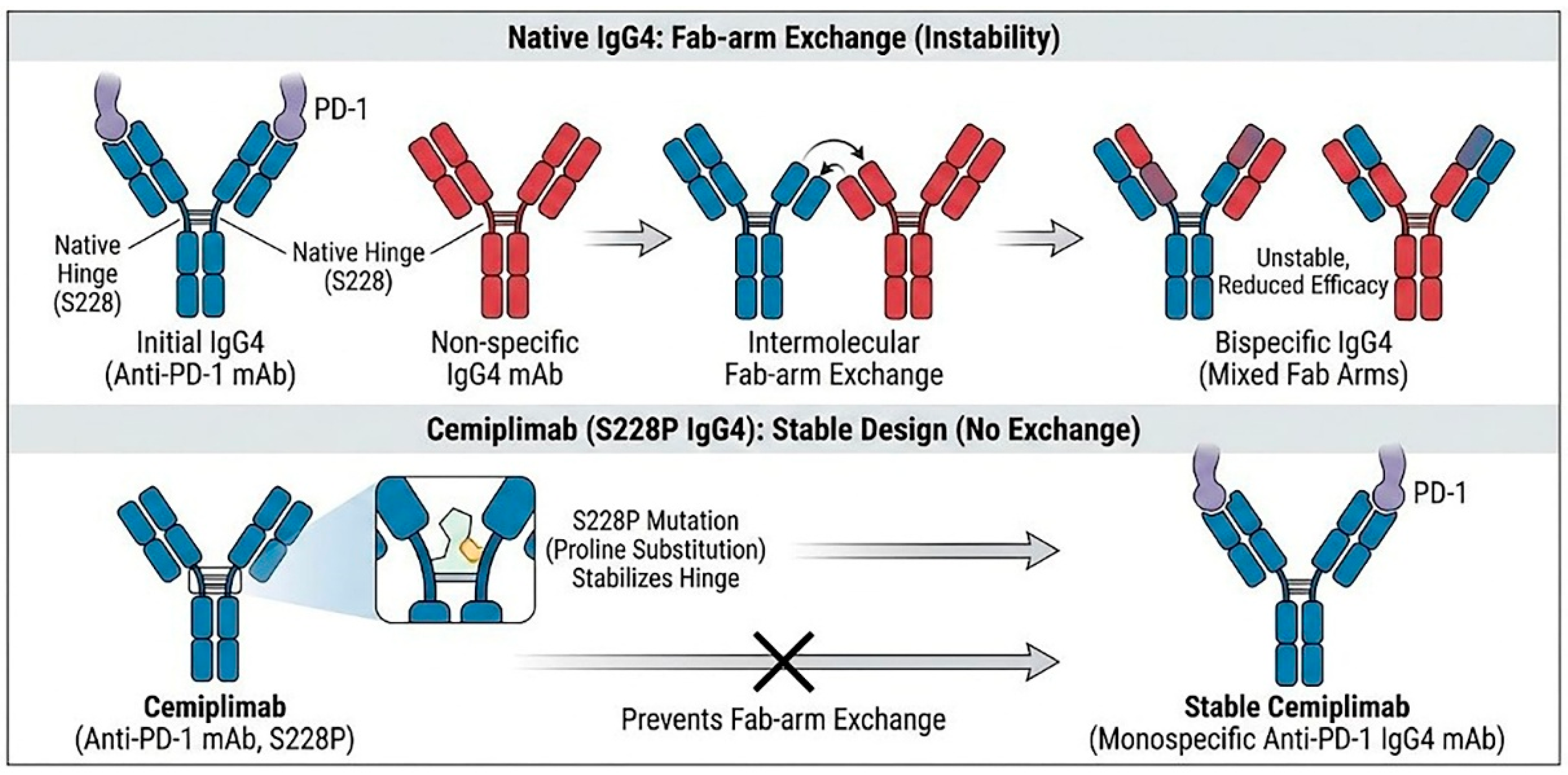 Cancers 18 00272 g001