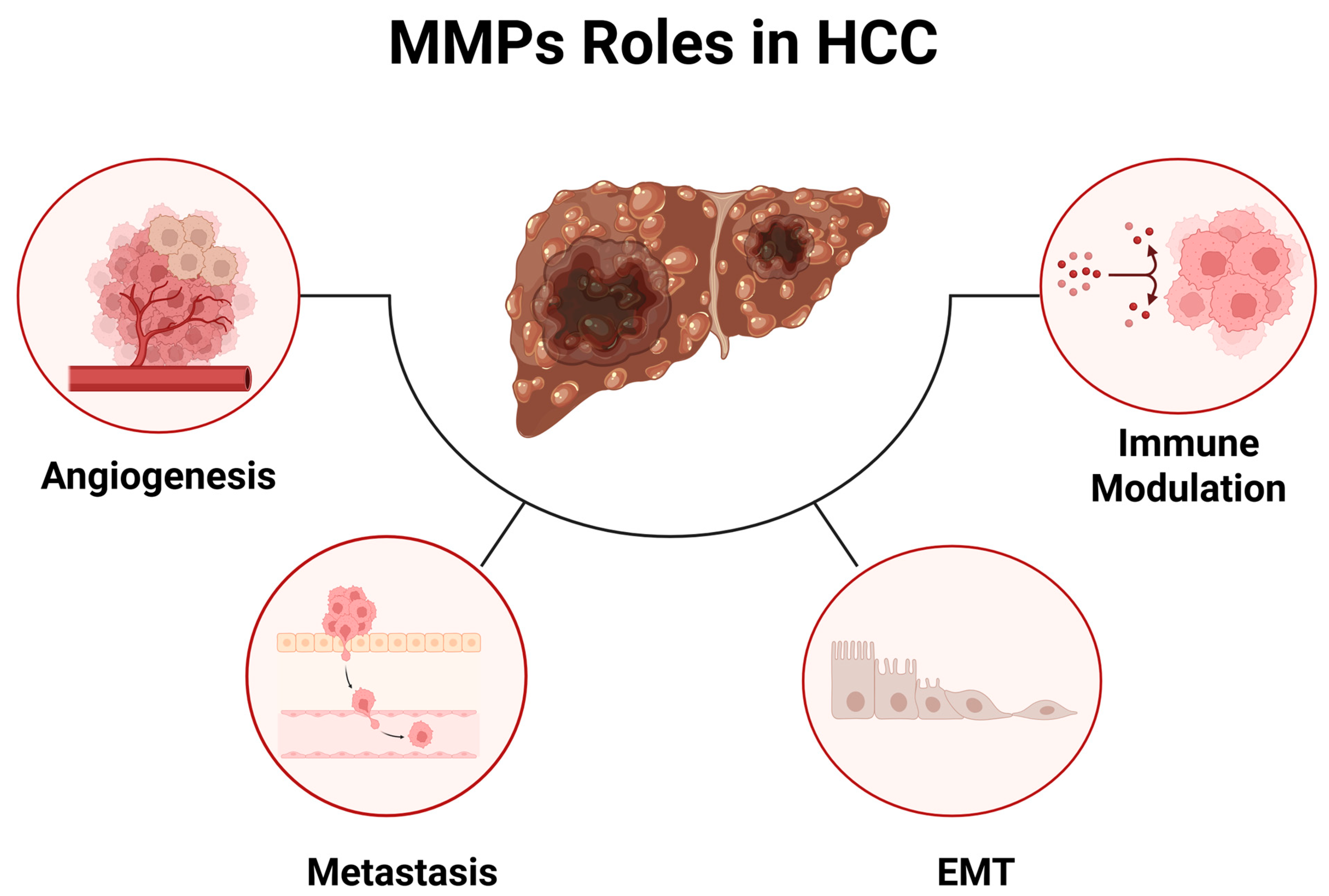 Cancers 18 00288 g002