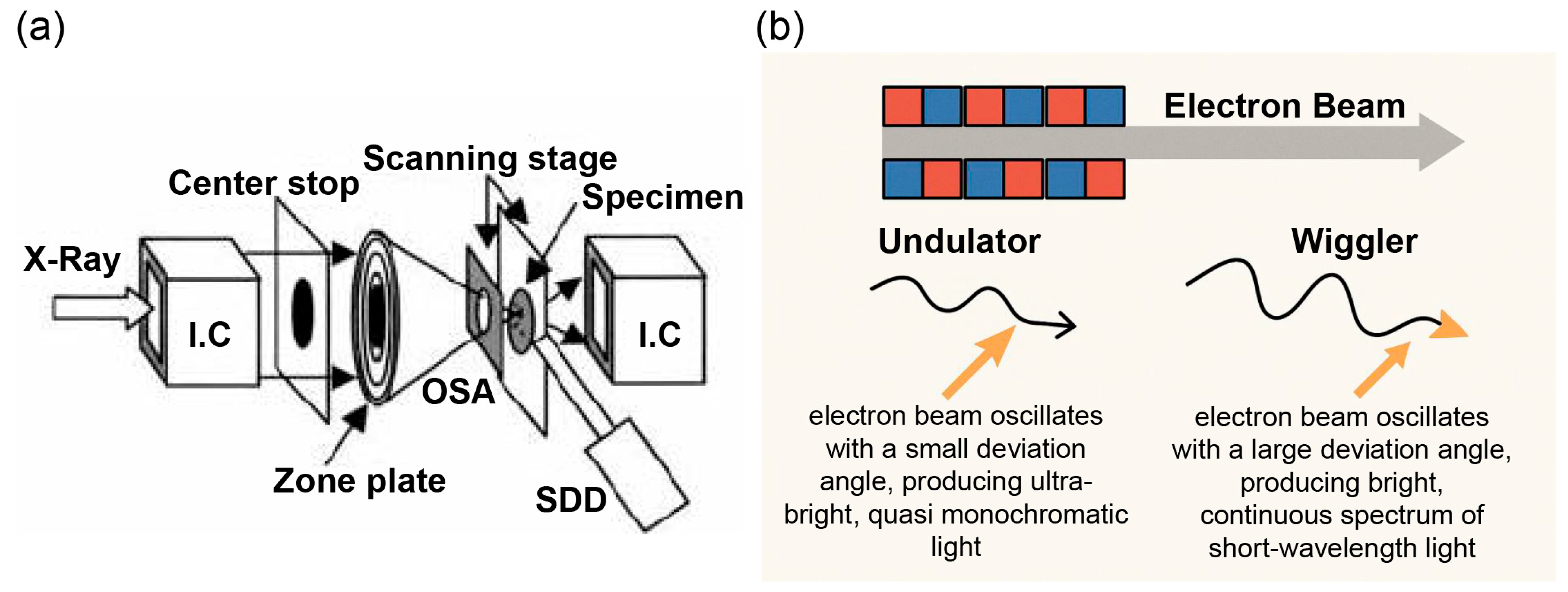 Cancers 18 00311 g001